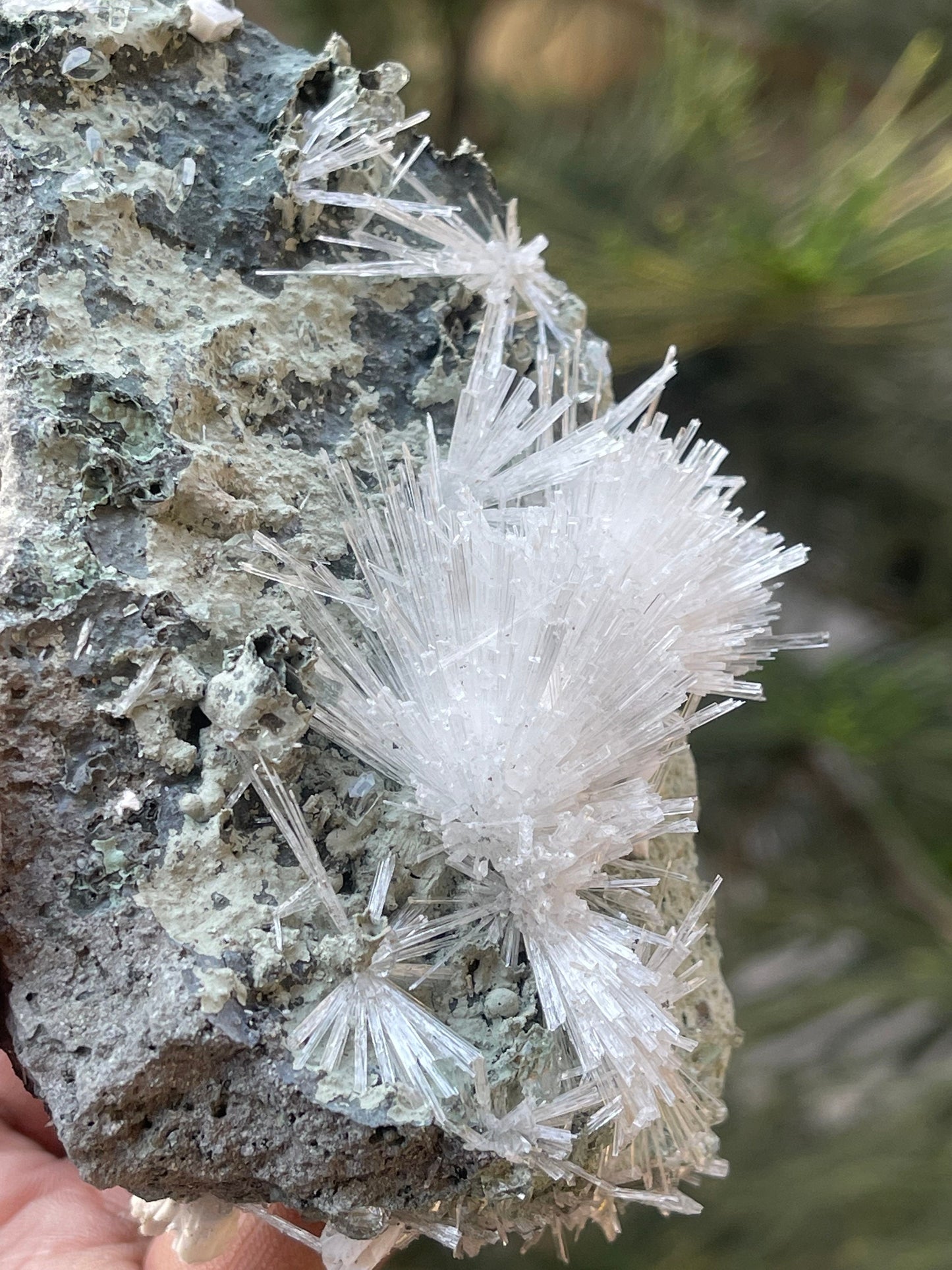 Scolecite Crystal on matrix