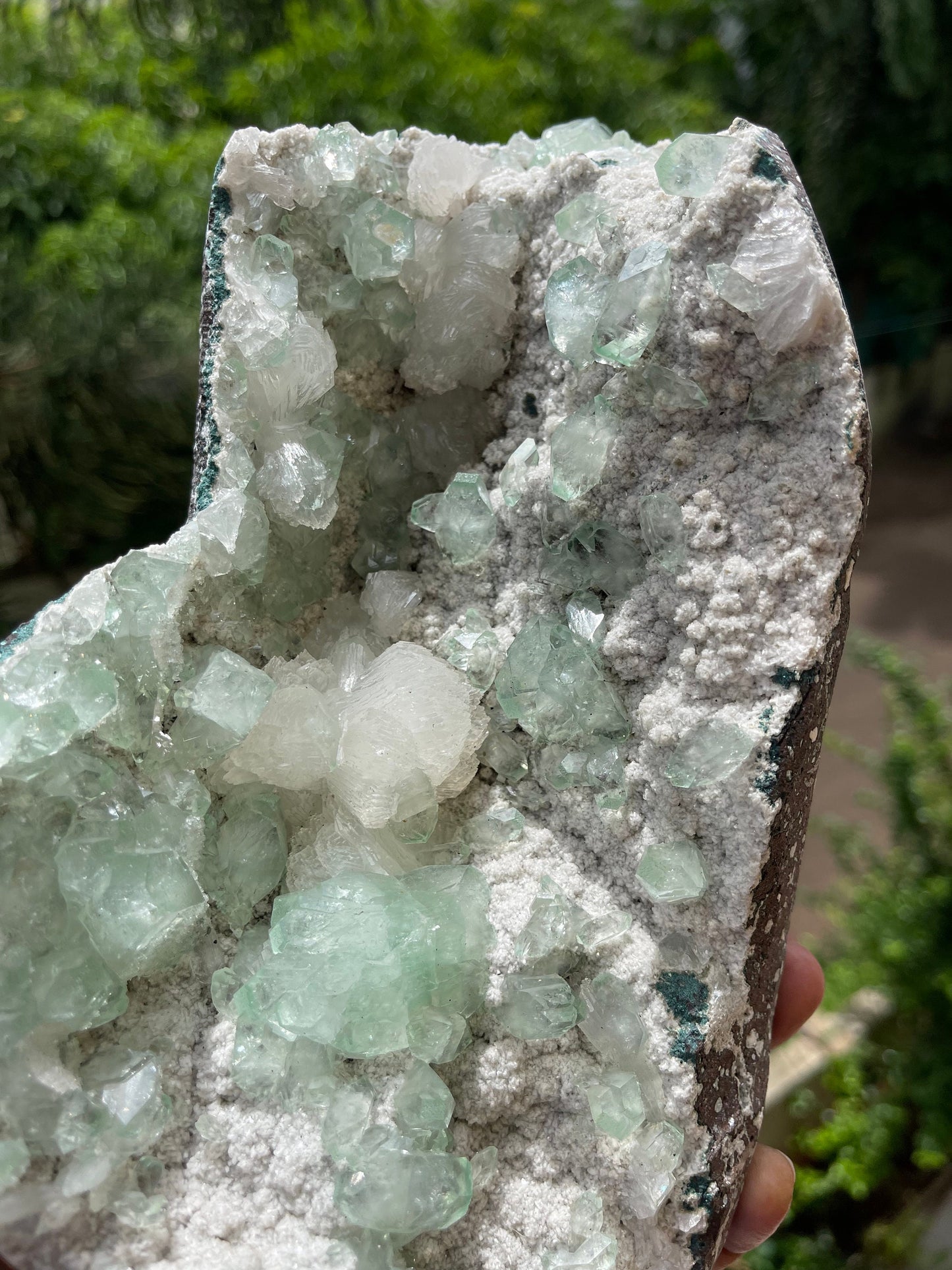 Green apophyllite crystal on white chalcedony matrix