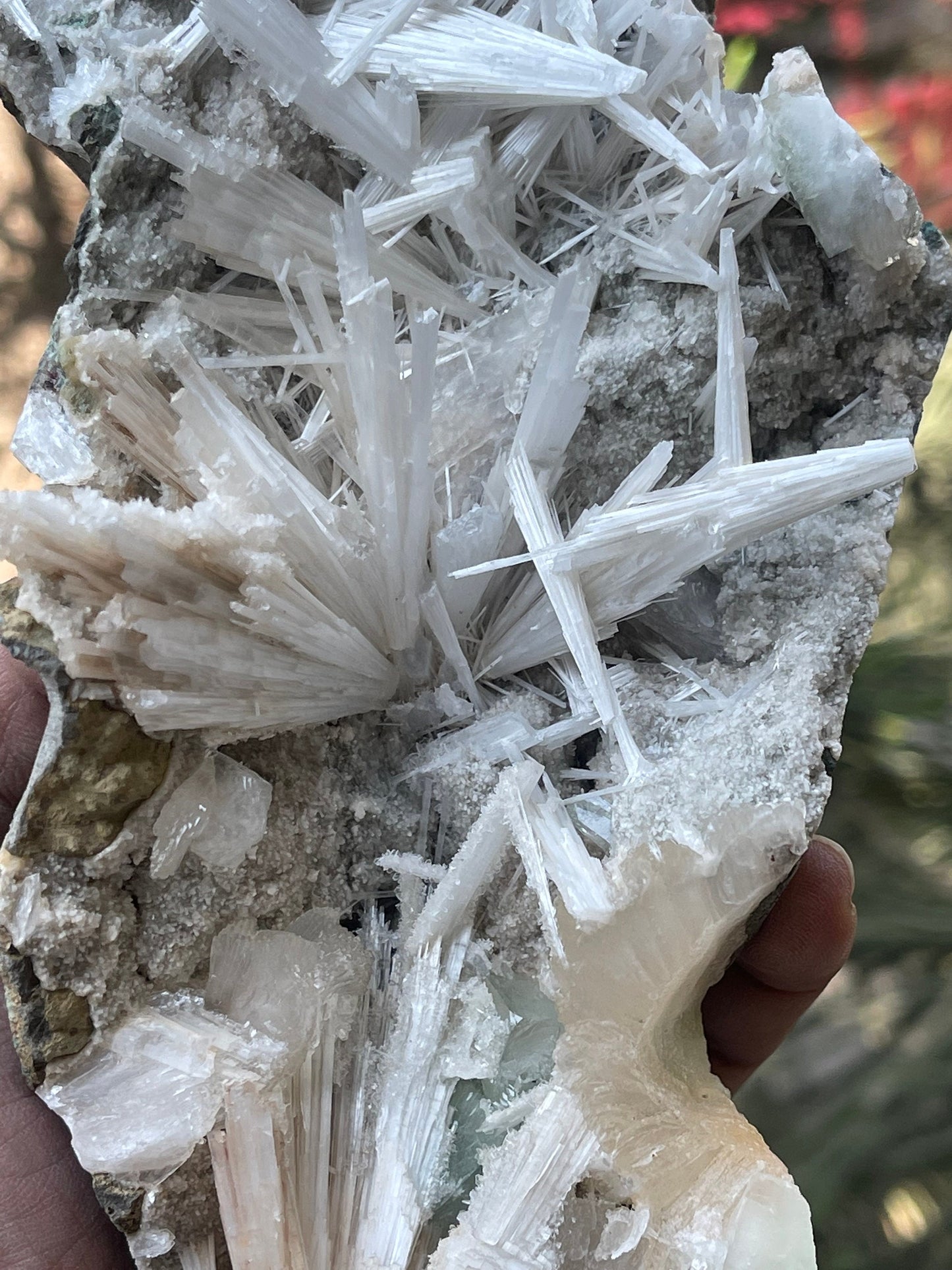 Shiney scolecite spray with stilbite/heulandite/green apophyllite