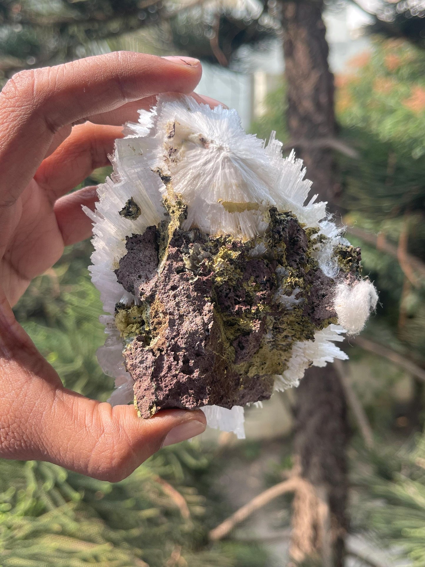 Perfect round of scolecite flower natural specimen