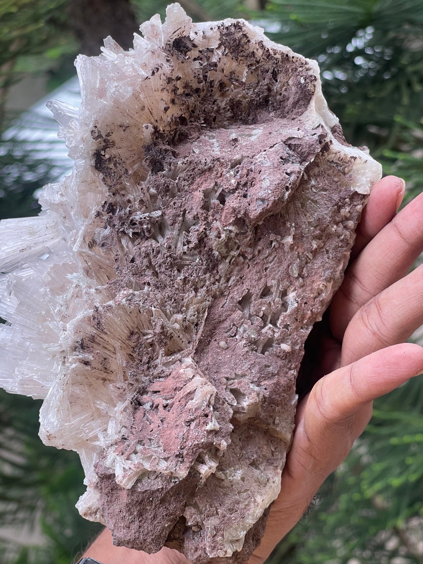 Scolecite spray on matrix with green apophyllite