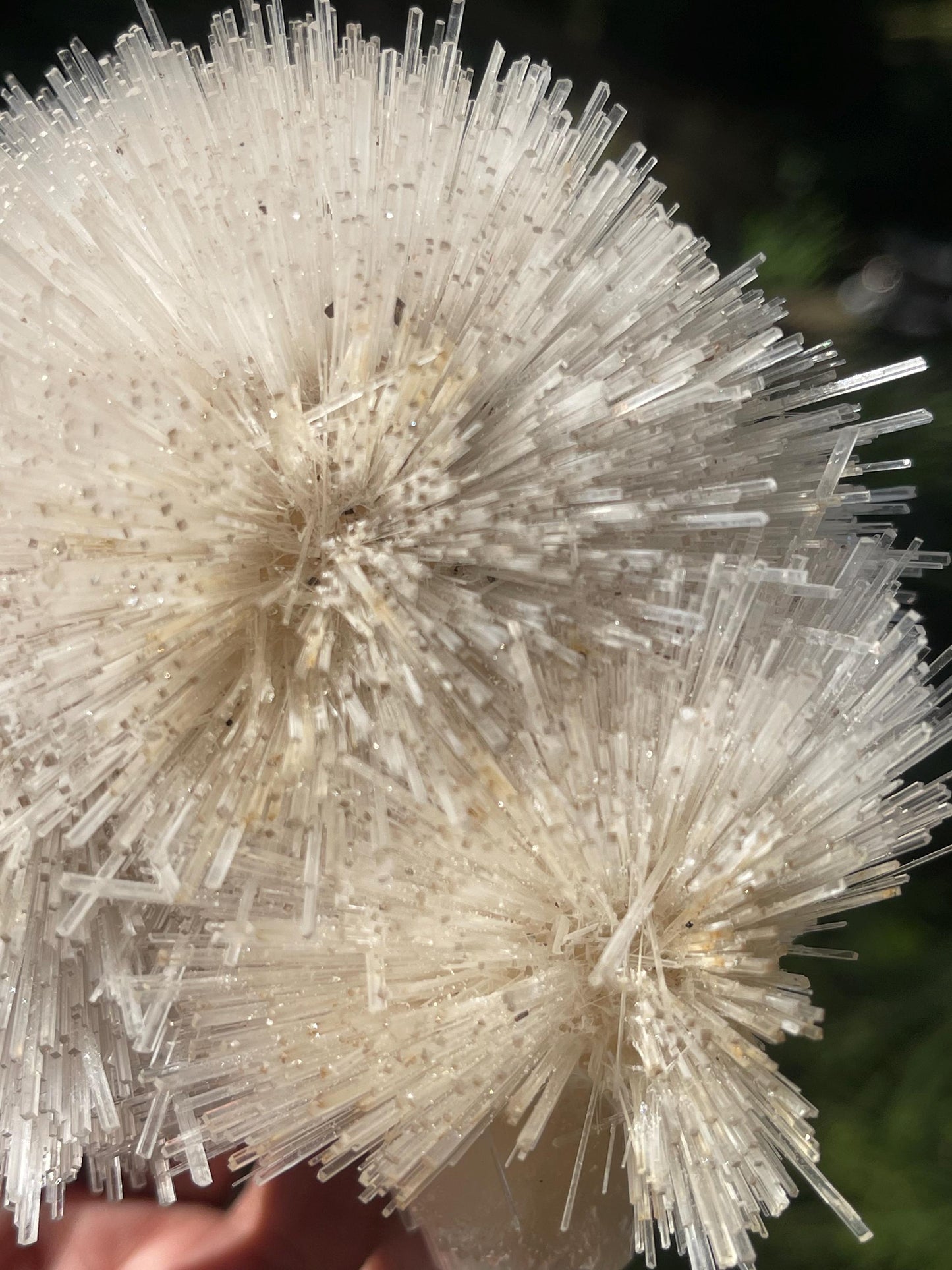Perfect natrolite flower on stilbite