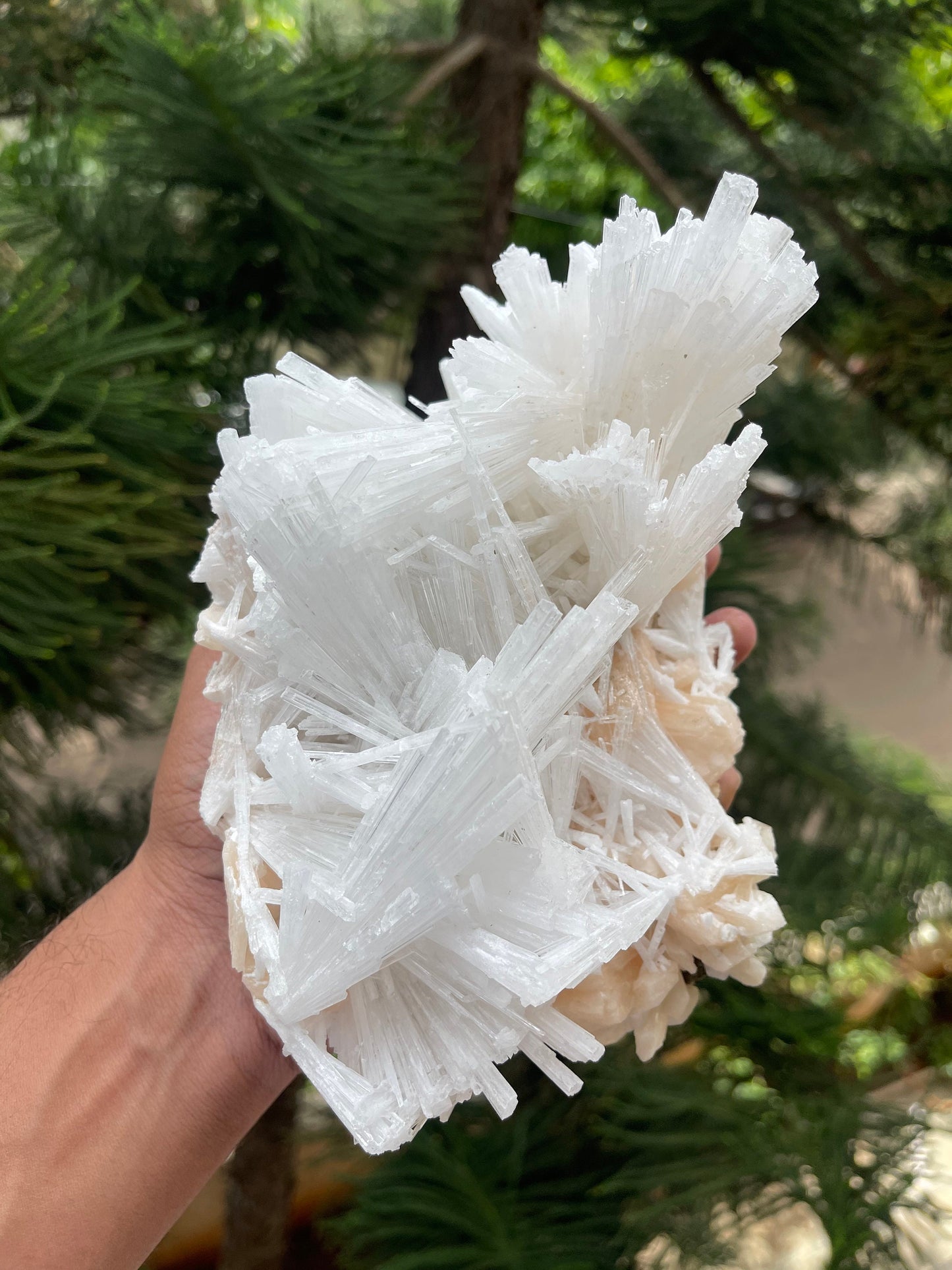 Glossy scolecite spray on orange stilbite crystal natural specimen