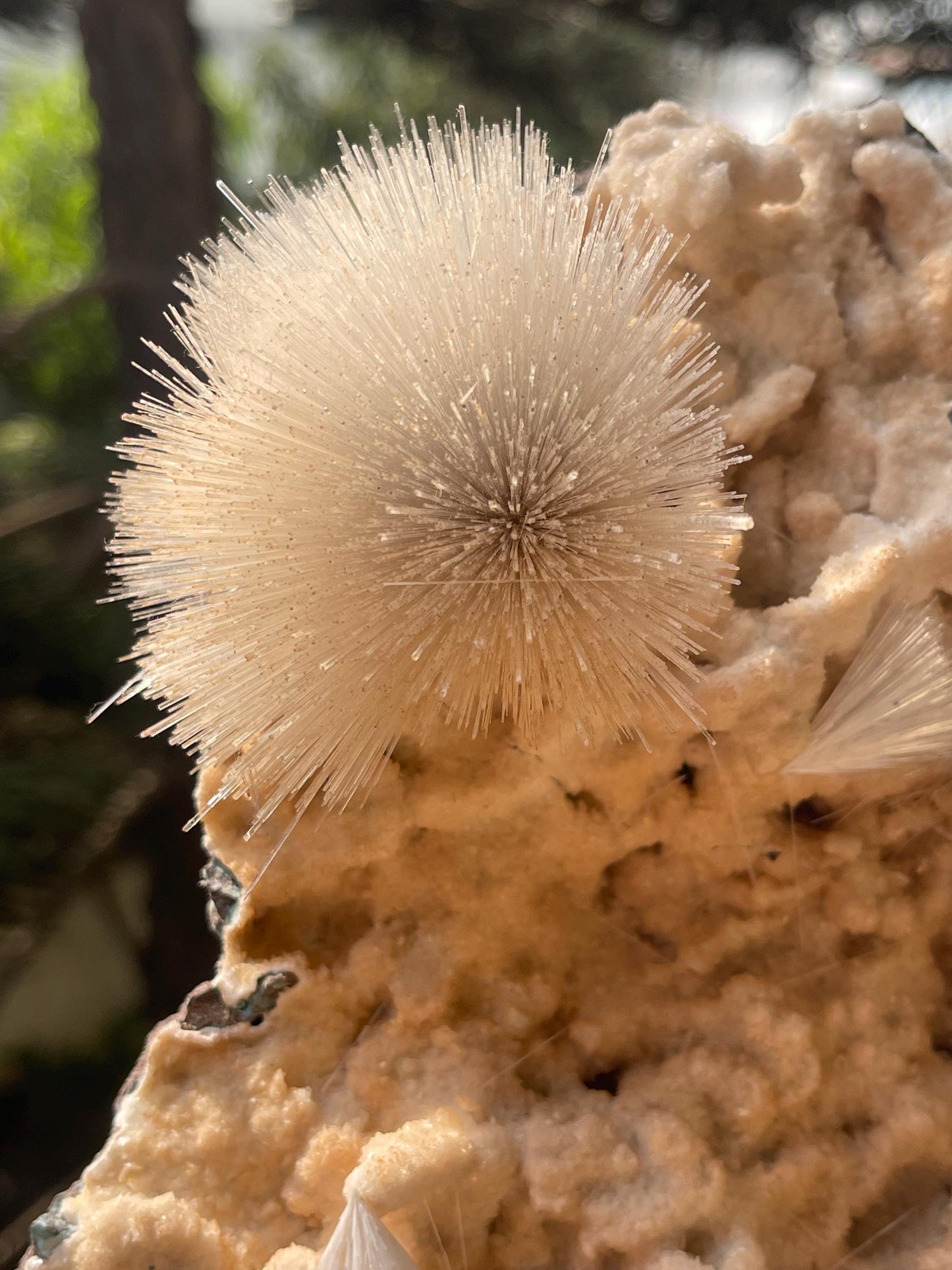 new find perfect mesolite flower on chalcedony matrix