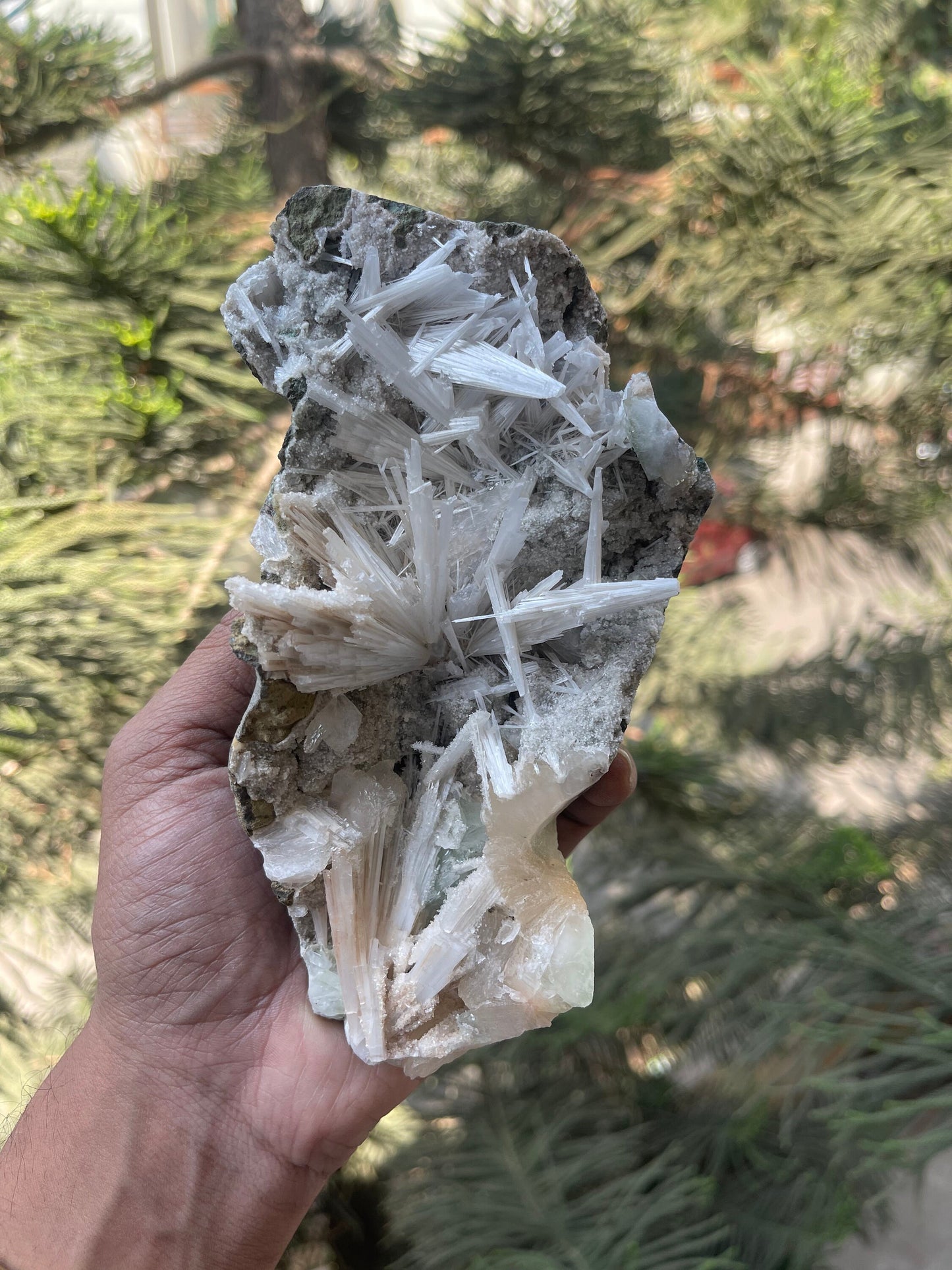 Shiney scolecite spray with stilbite/heulandite/green apophyllite