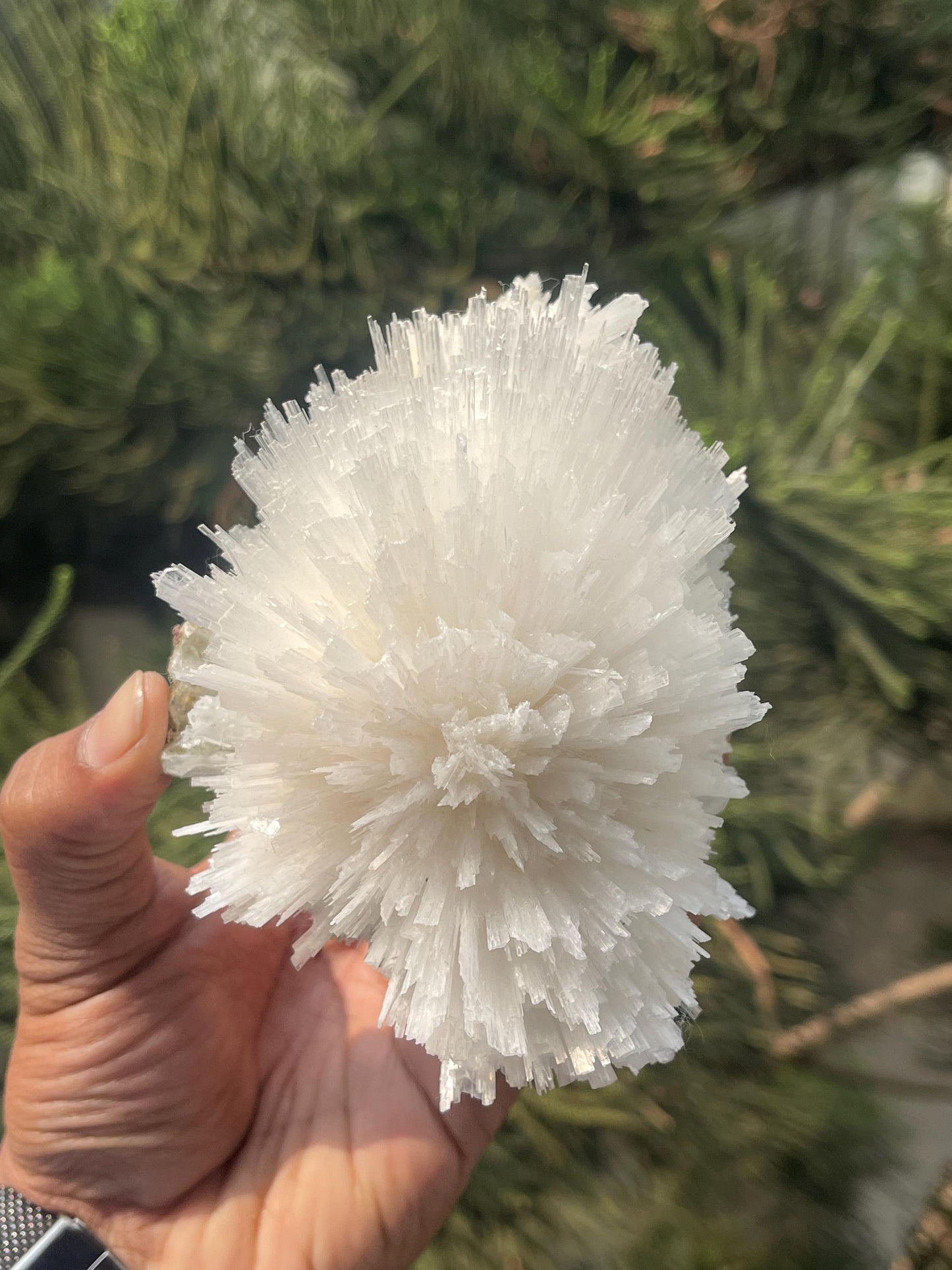 Perfect round of scolecite flower natural specimen