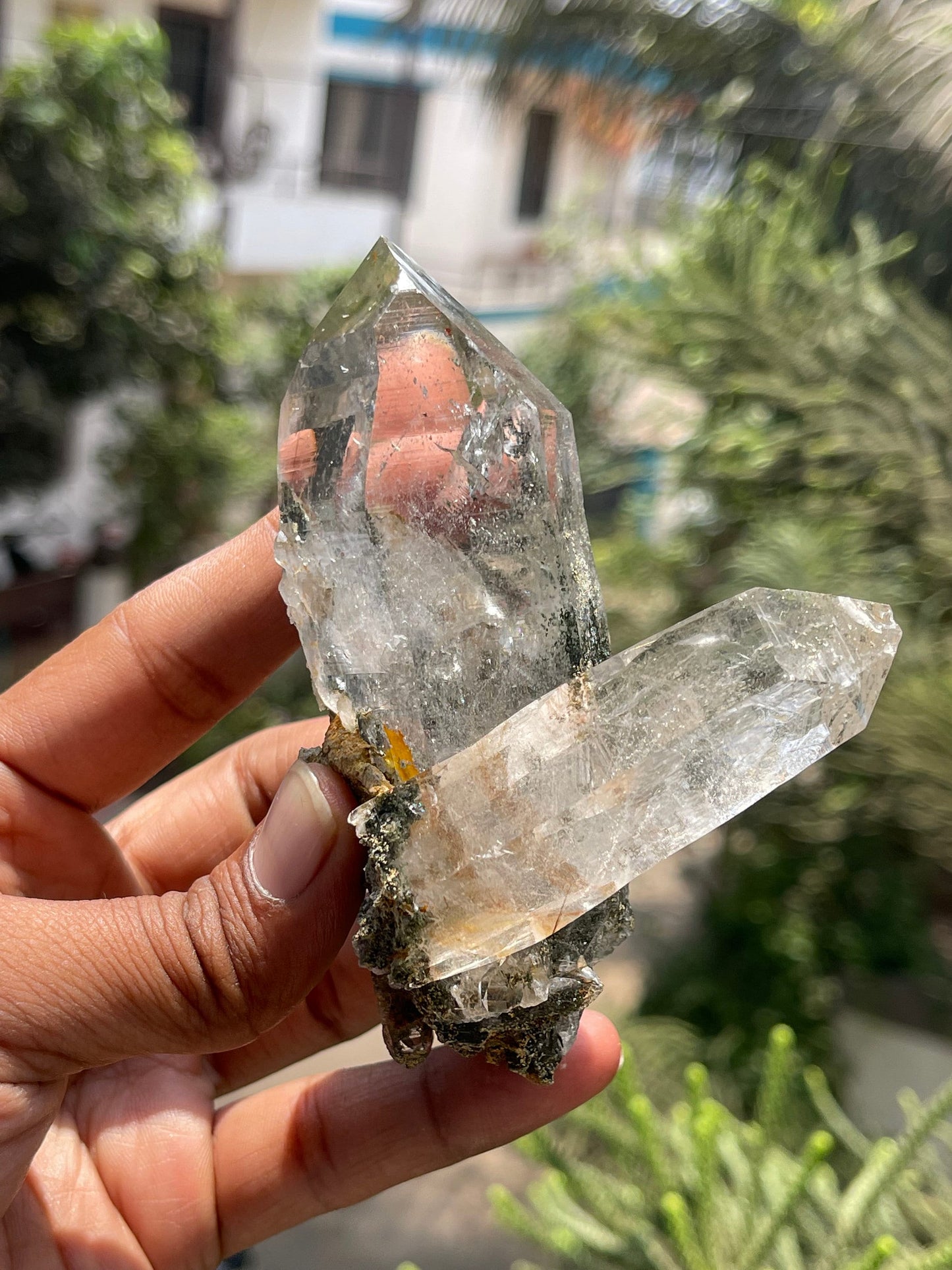 Twin Himalayan Chlorite Quartz Crystal with golden rutile