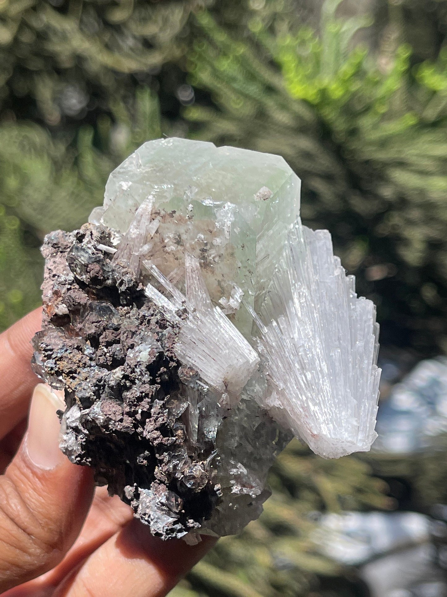 Green apophyllite cube with scolecite spray