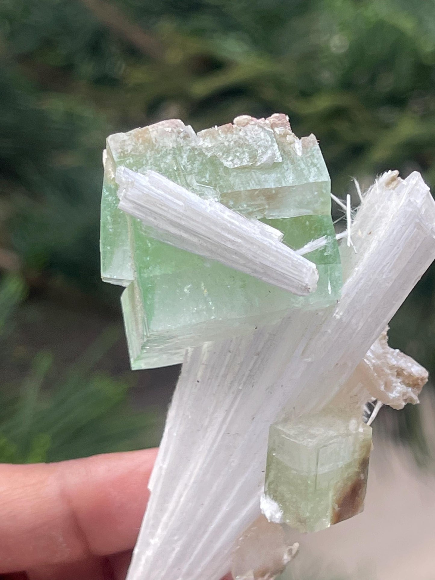 Green apophyllite crystal on scolecite spray natural specimen