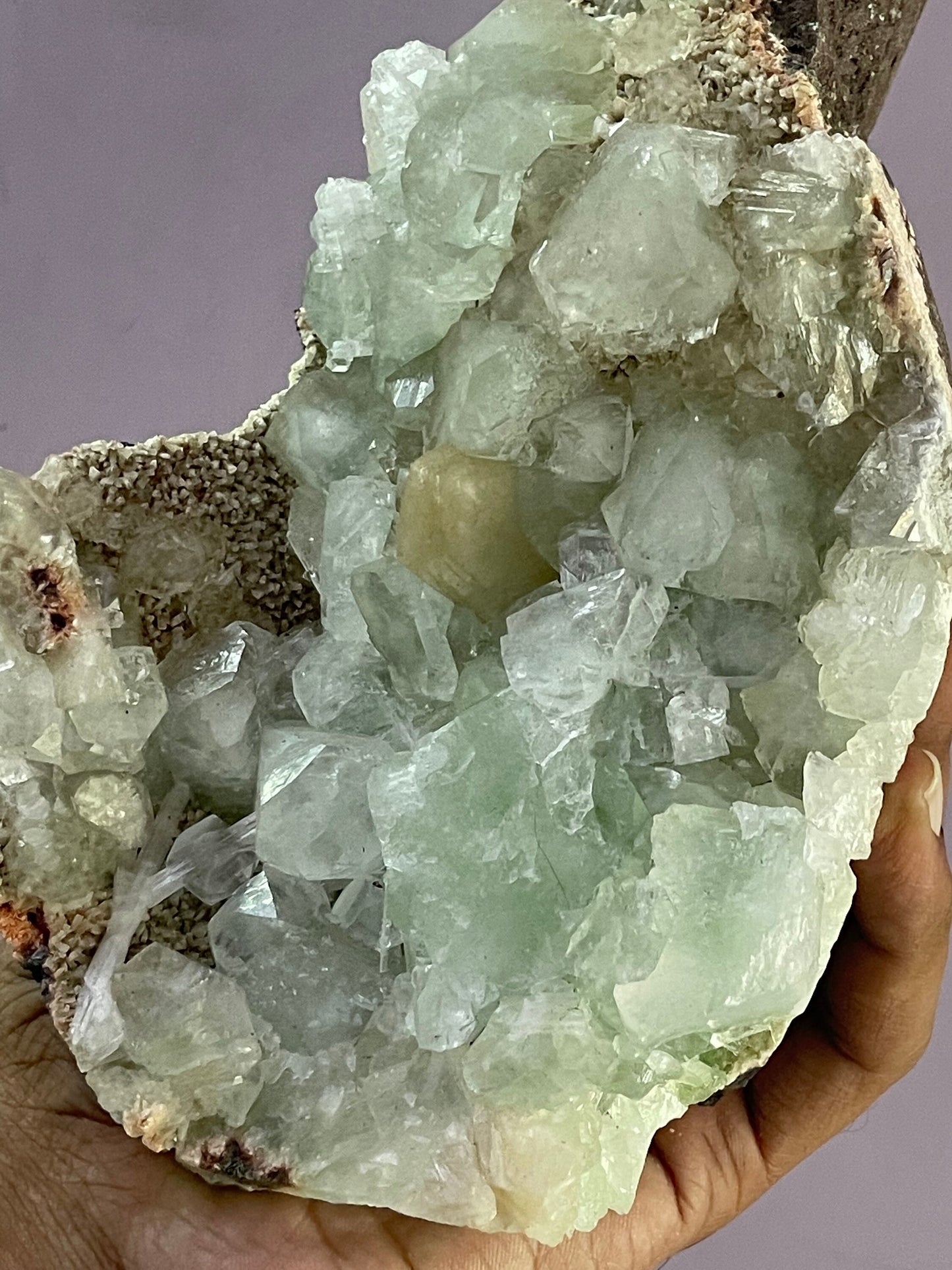 Green apophyllite with stilbite and scolecite on heulandite matrix