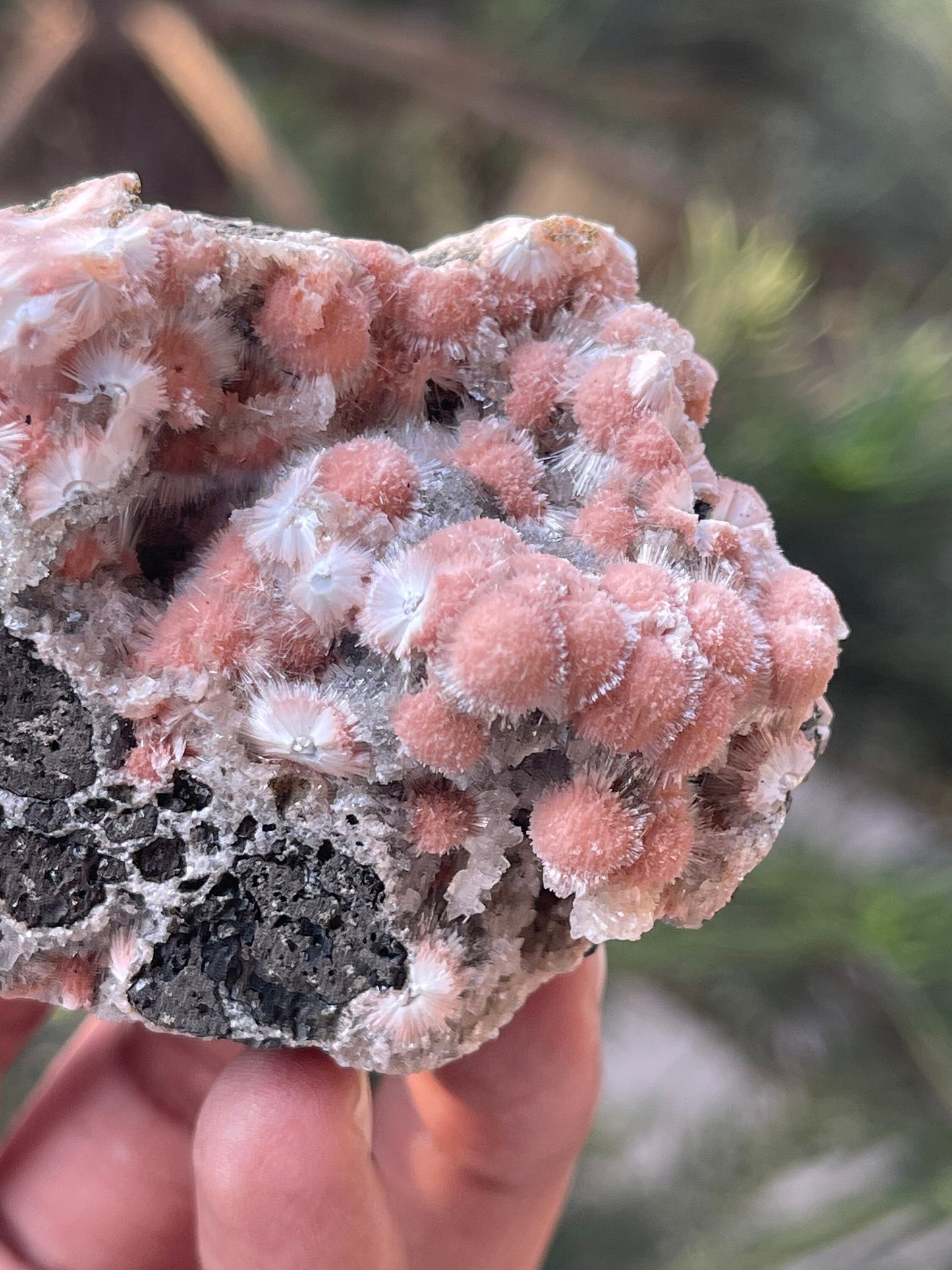 Multiple orange mesolite ball on matrix