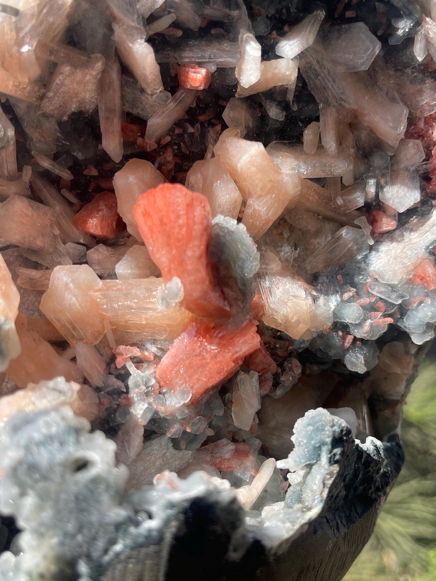 brown heulandite crystal on black coral with stilbite