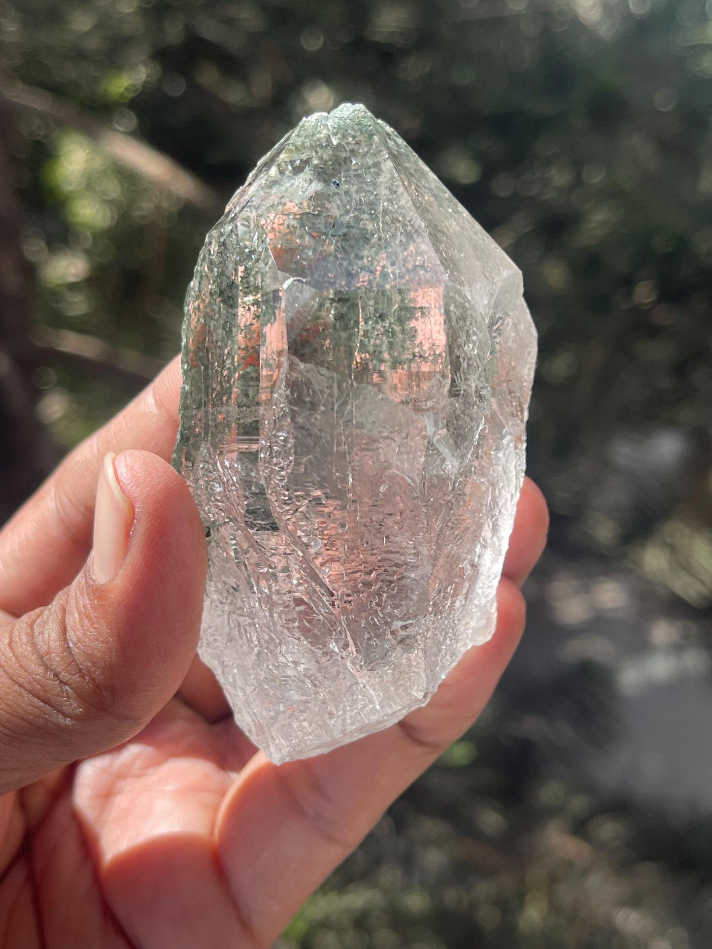 Rare Himalayan Cathedral Quartz Crystal with Green Chlorite – High-Energy Healing crystal