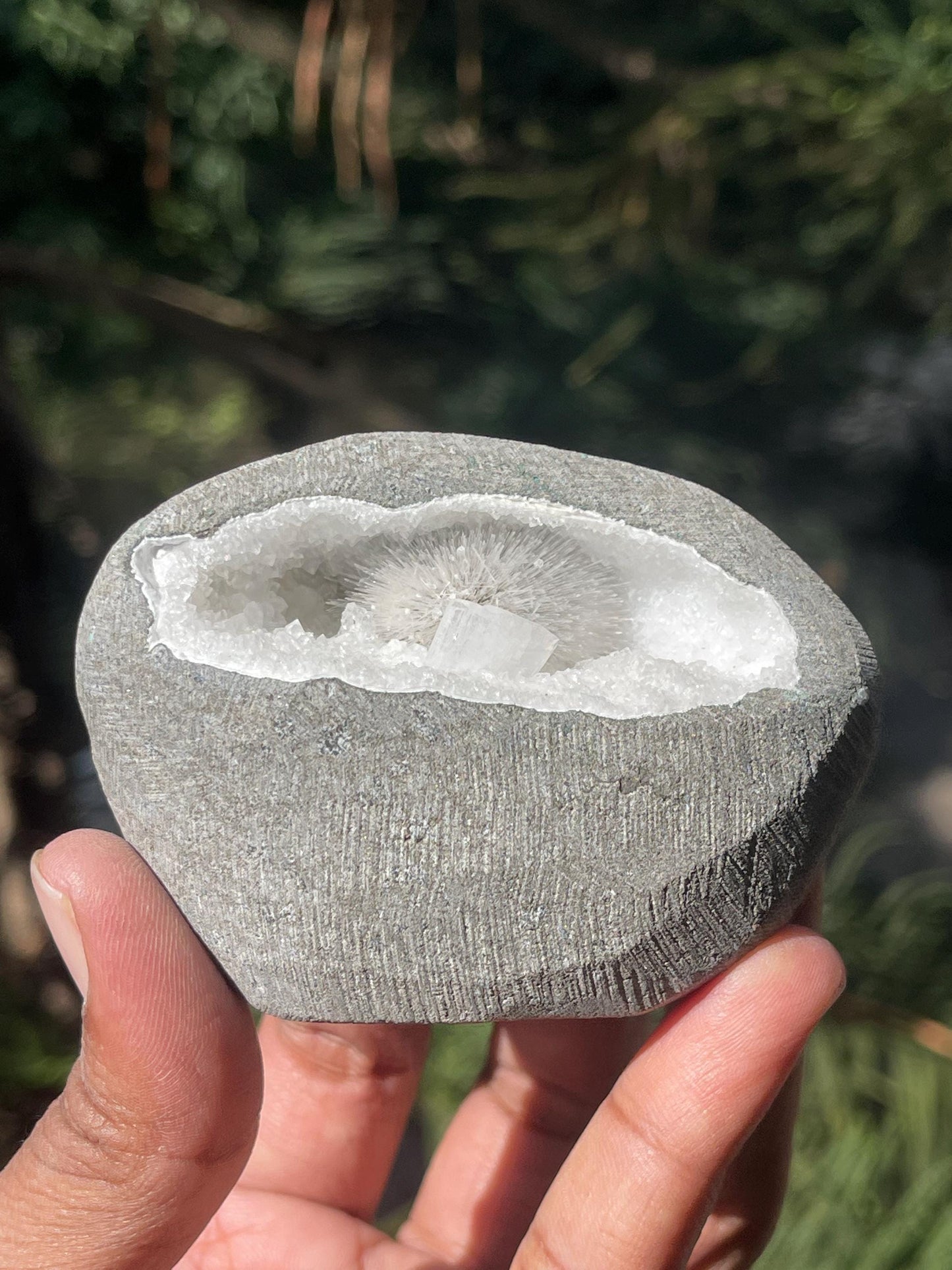 Scolecite flower inside Mm quartz geode