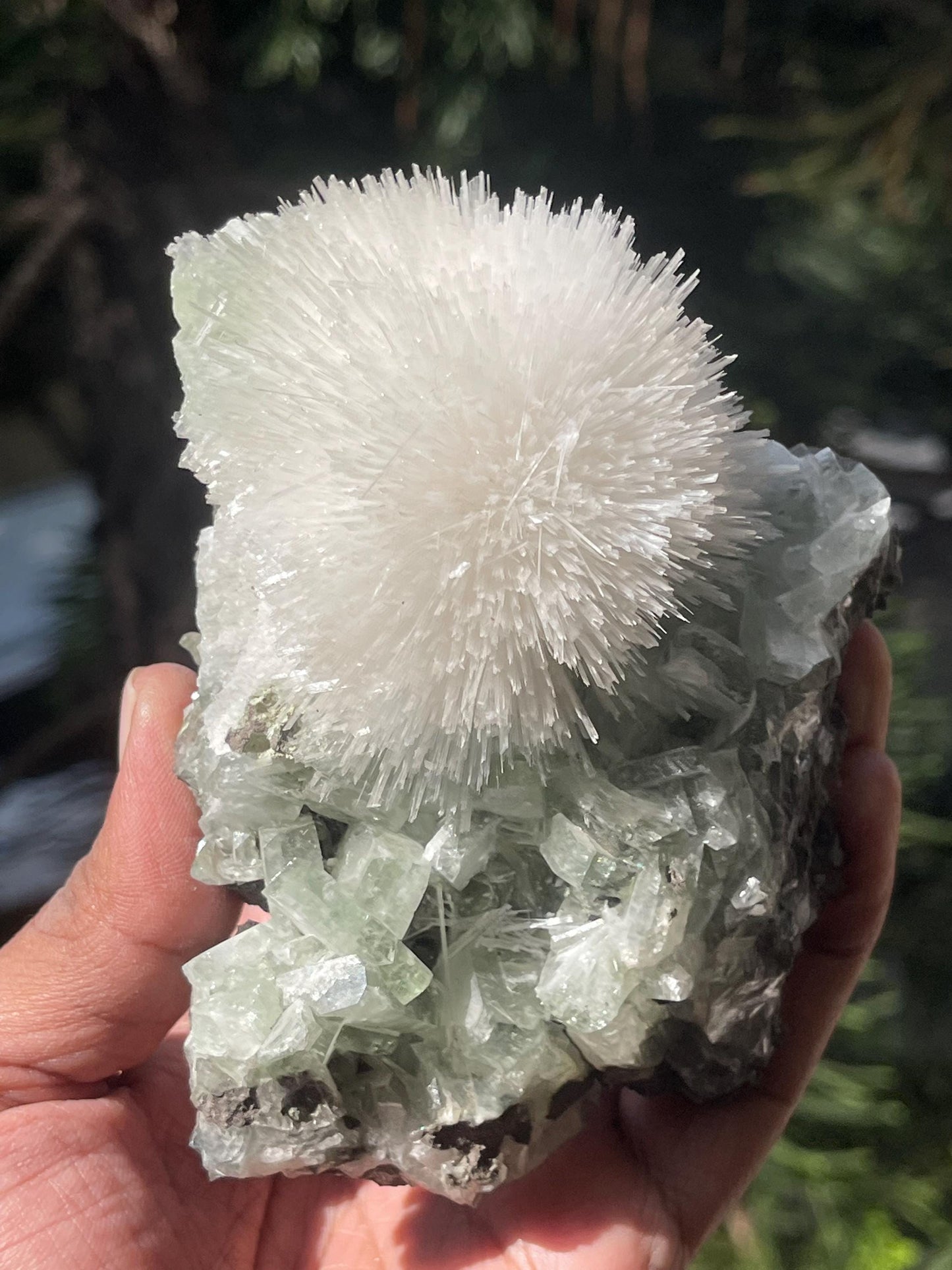 Mesolite flower on light green apophyllite