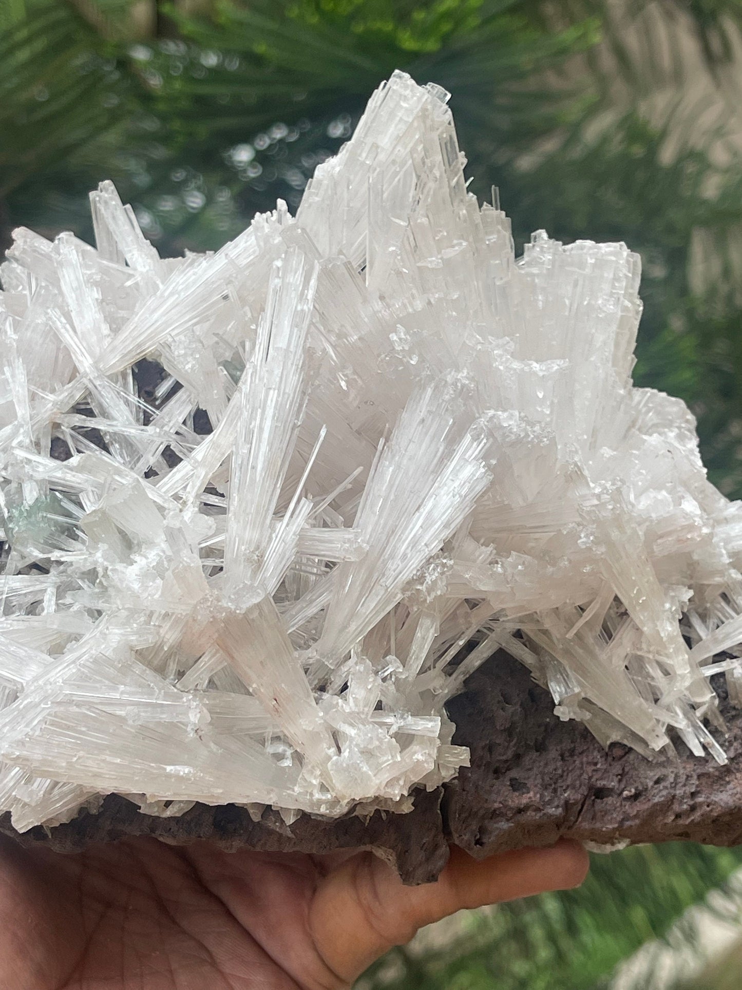 Scolecite spray on matrix with green apophyllite