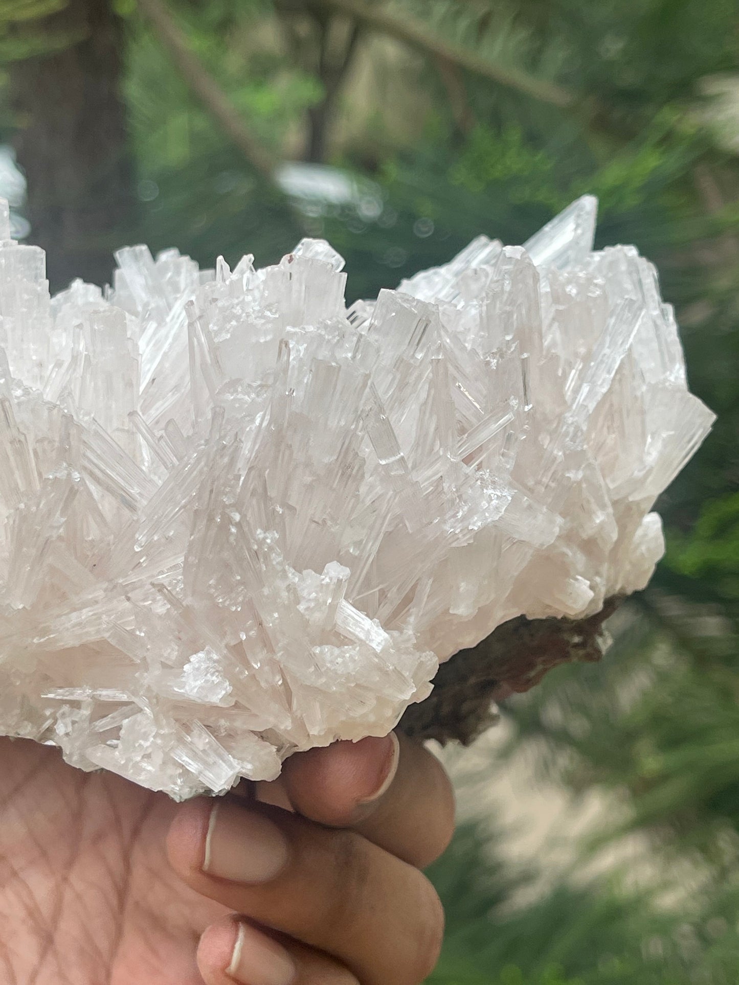 Scolecite flower