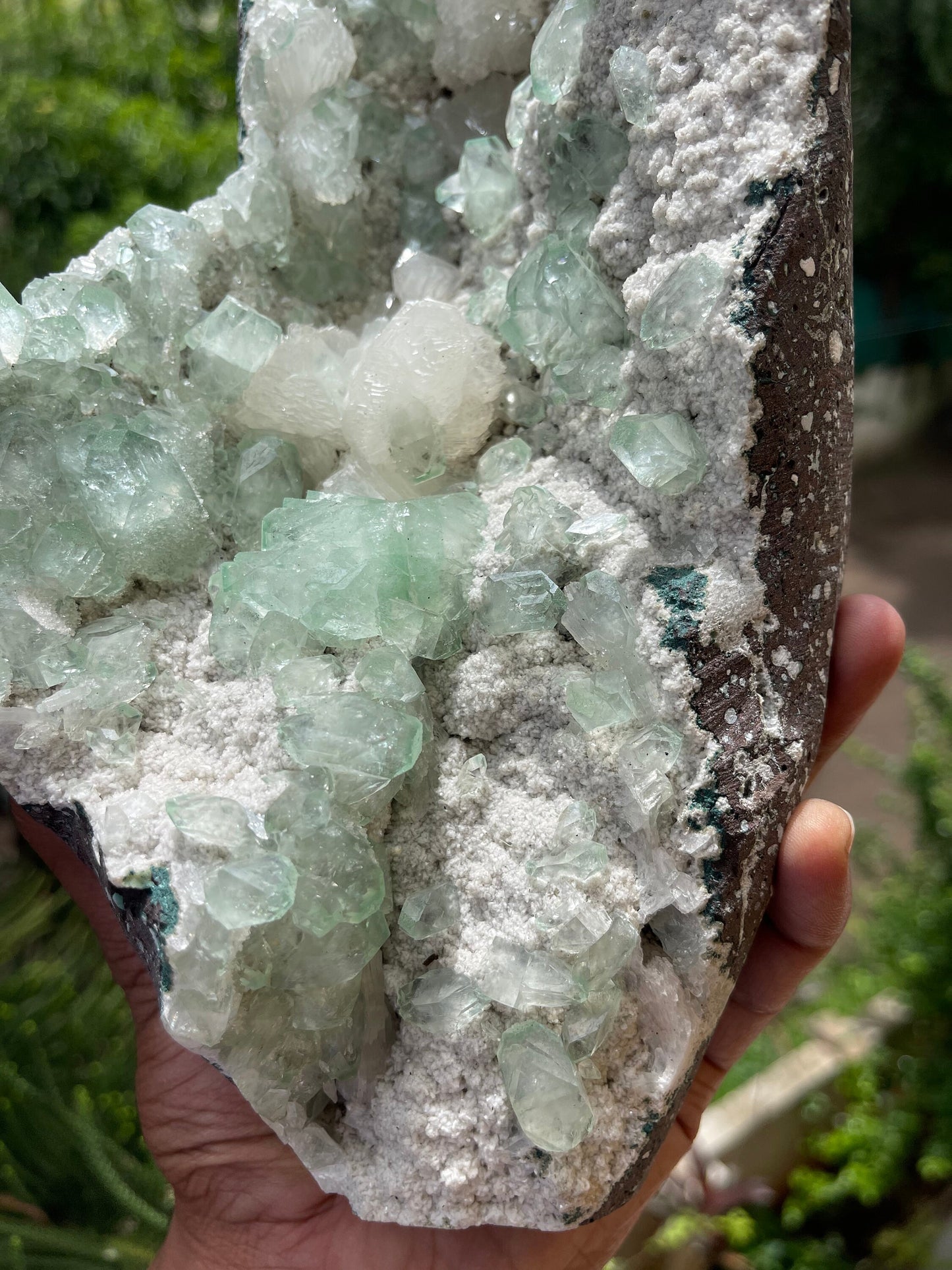 Green apophyllite crystal on white chalcedony matrix