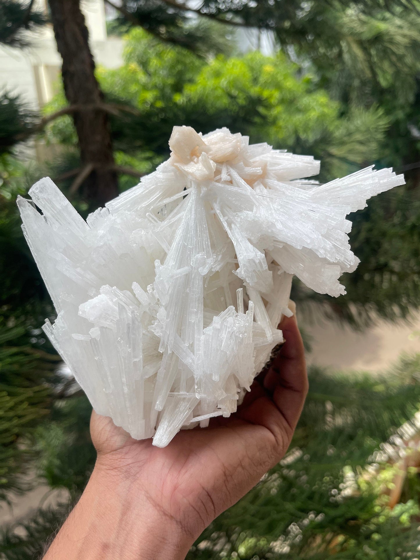 Scolecite spray with stilbite
