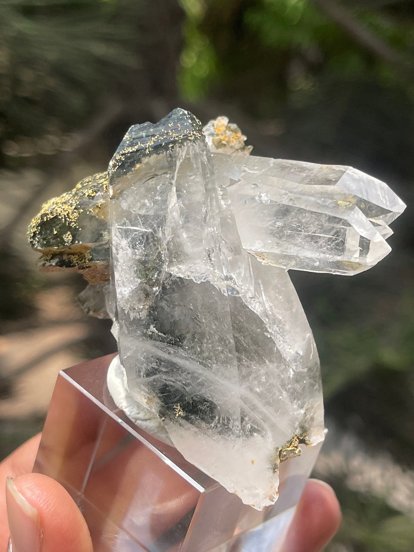 Rare formation of Himalayan quartz crystal