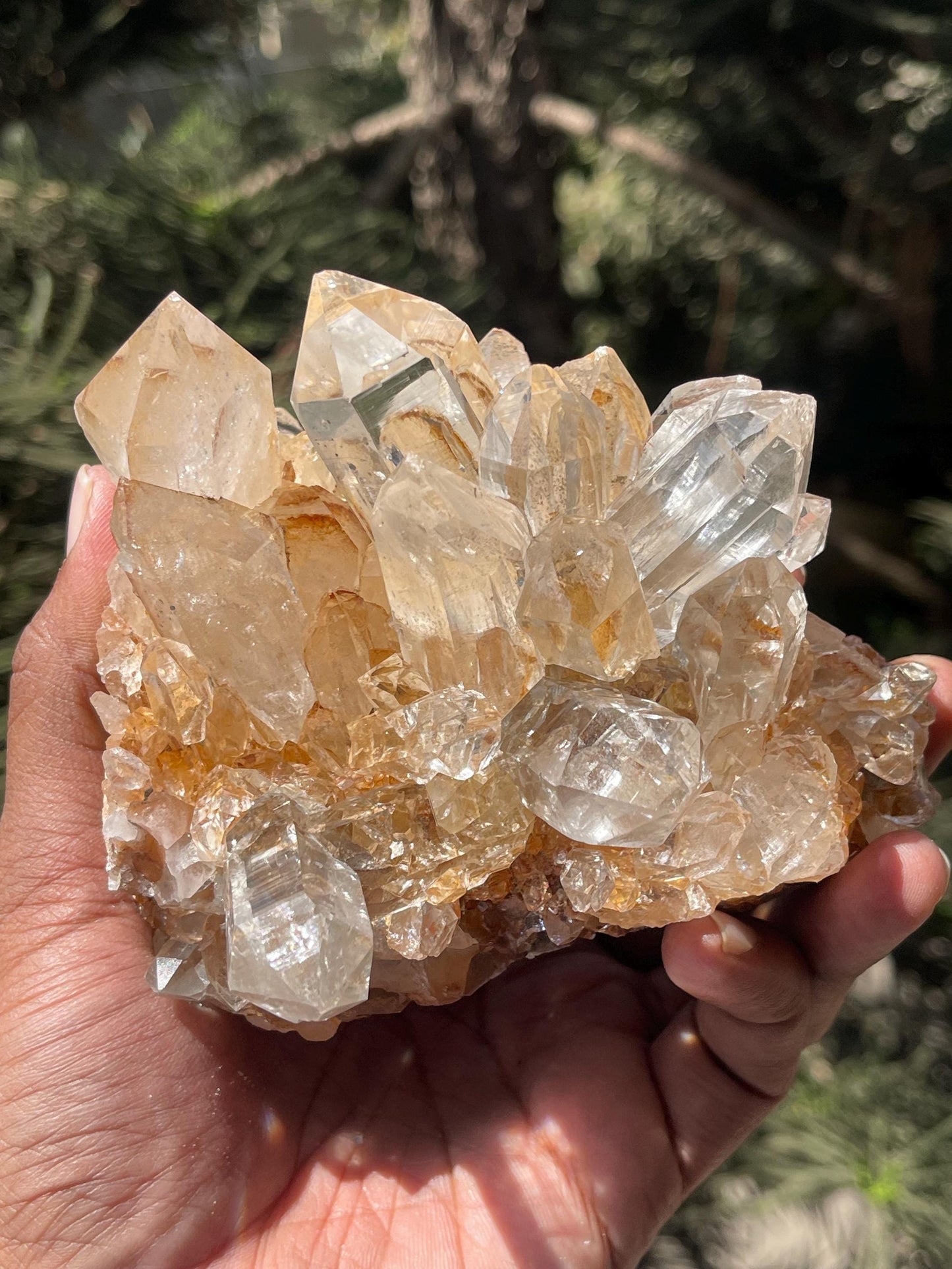 clear Himalayan cathedral crystal on matrix