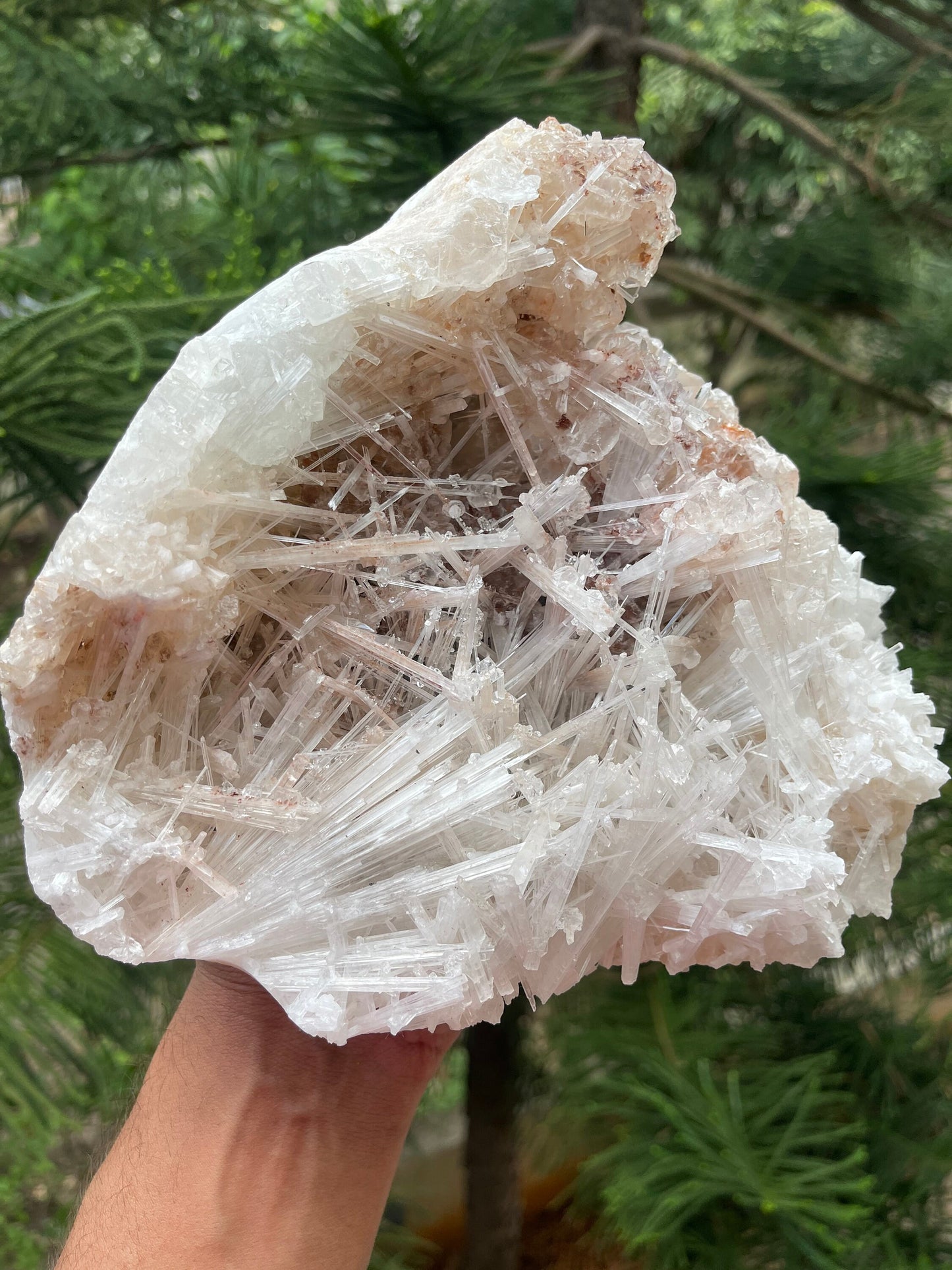 Clear apophyllite crystal on Glossy scolecite spray natural specimen