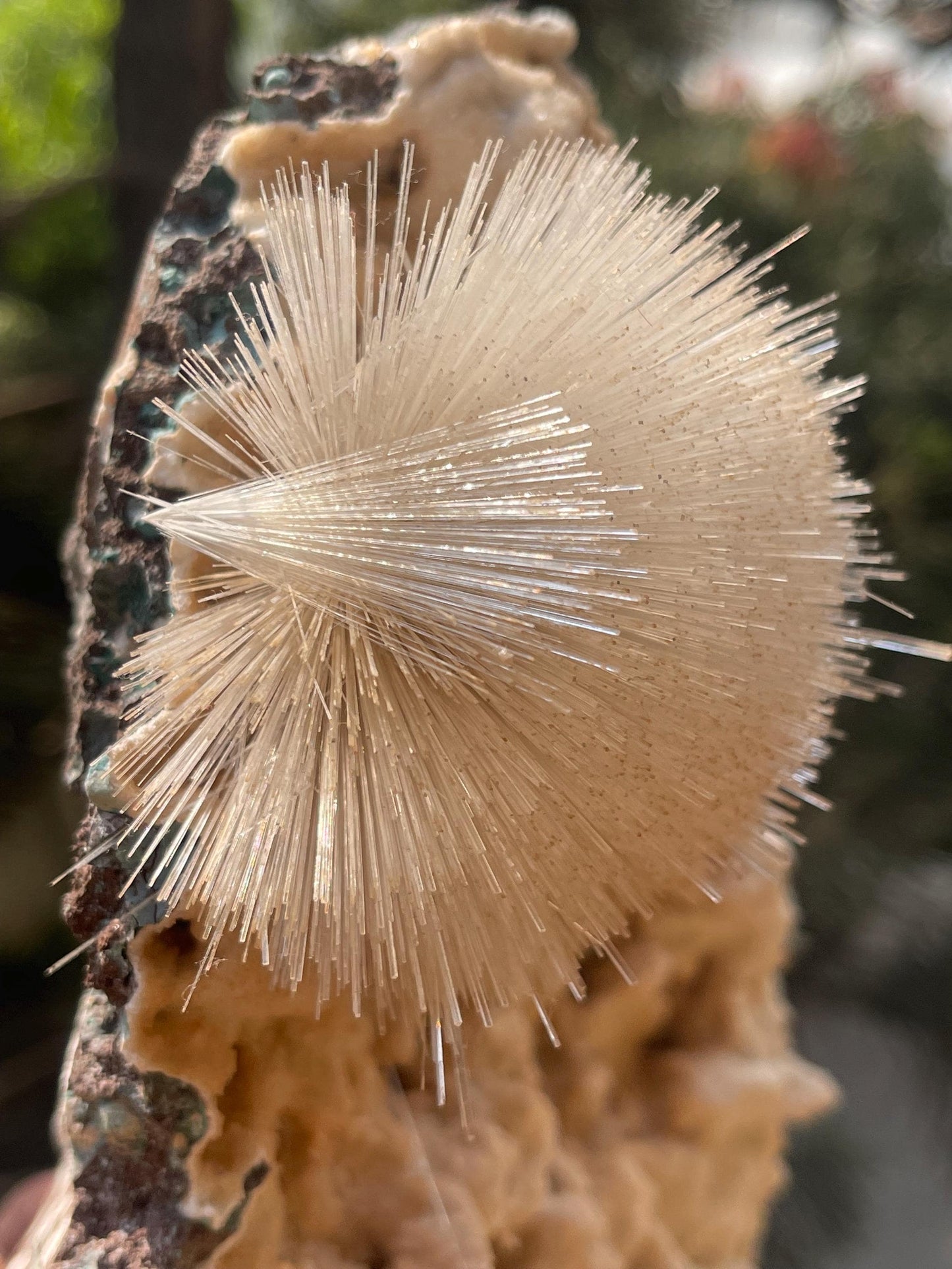 new find perfect mesolite flower on chalcedony matrix