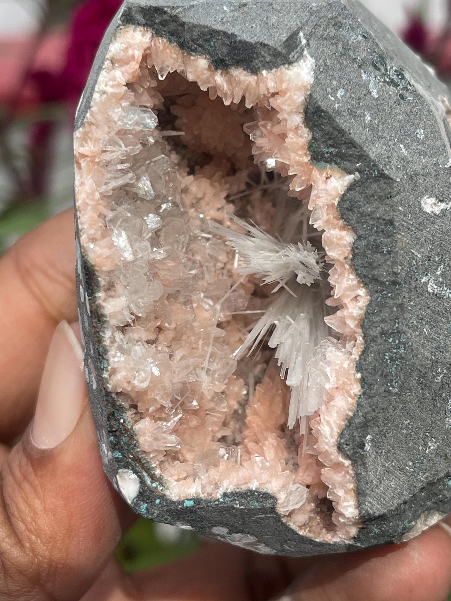 Scolecite spray inside glossy stilbite/heulandite geode