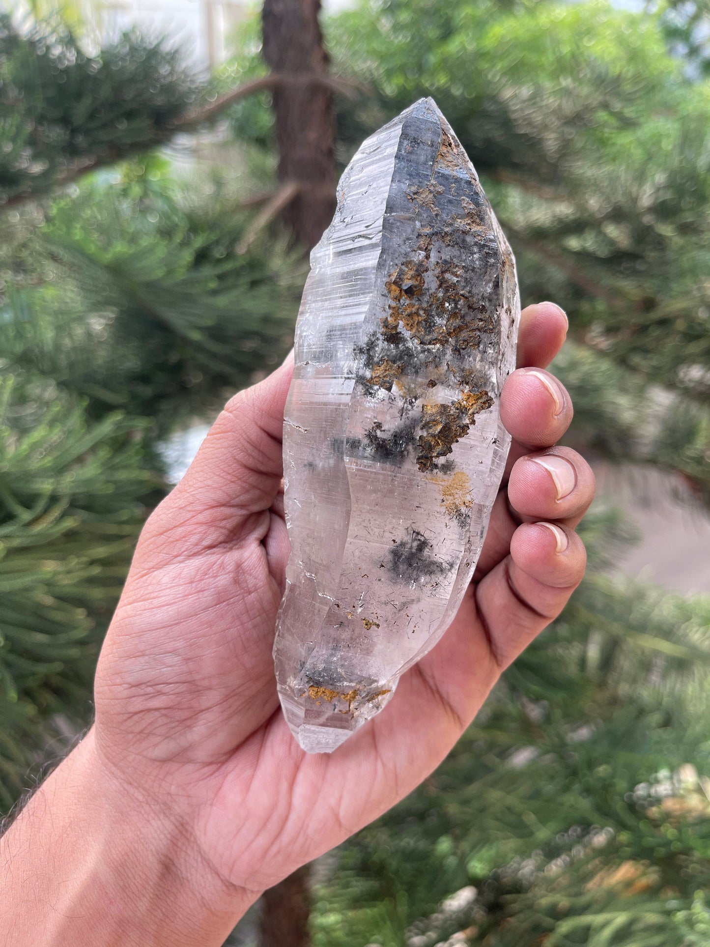 Double terminated Himalayan quartz floater