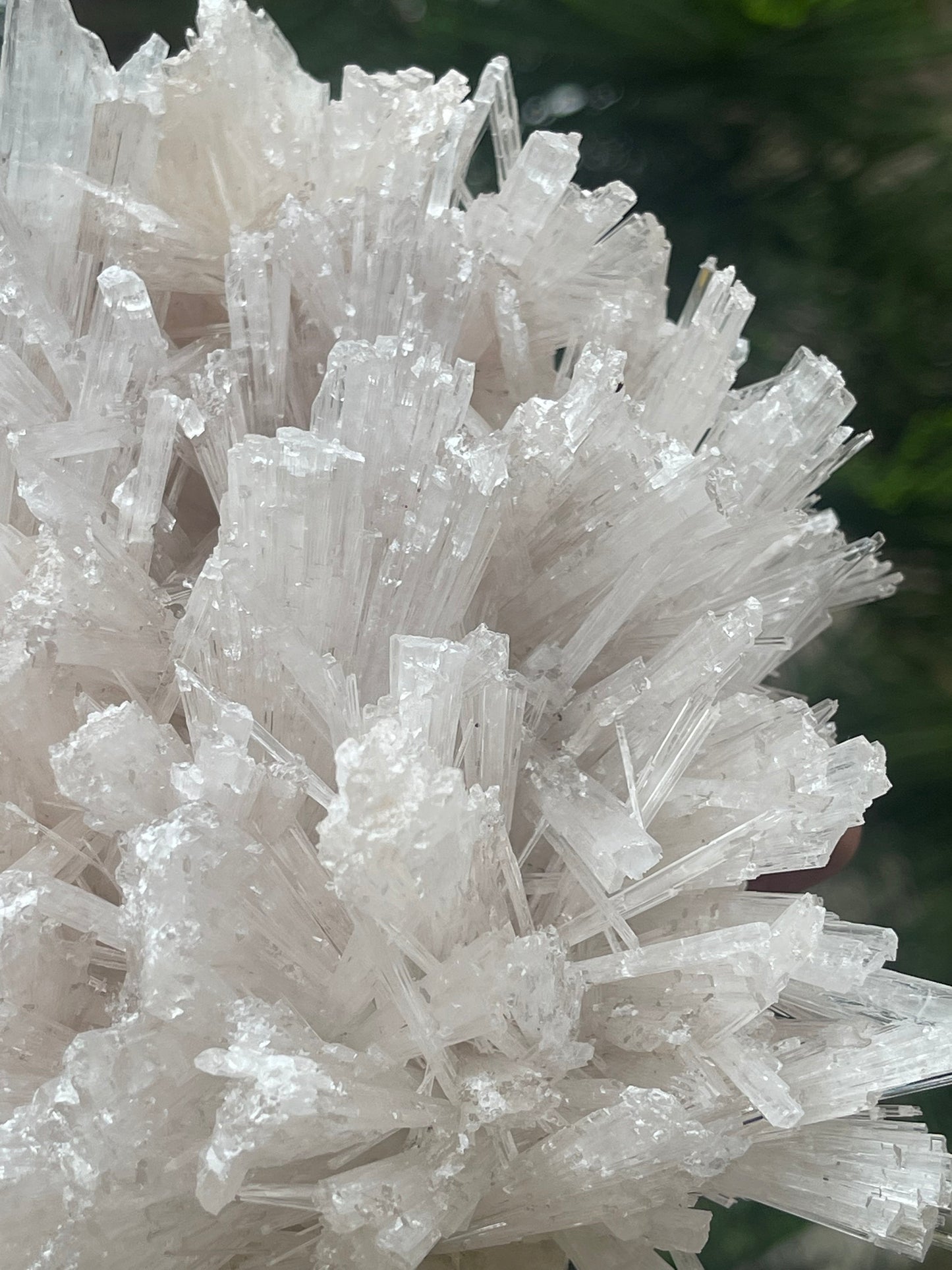 Scolecite flower