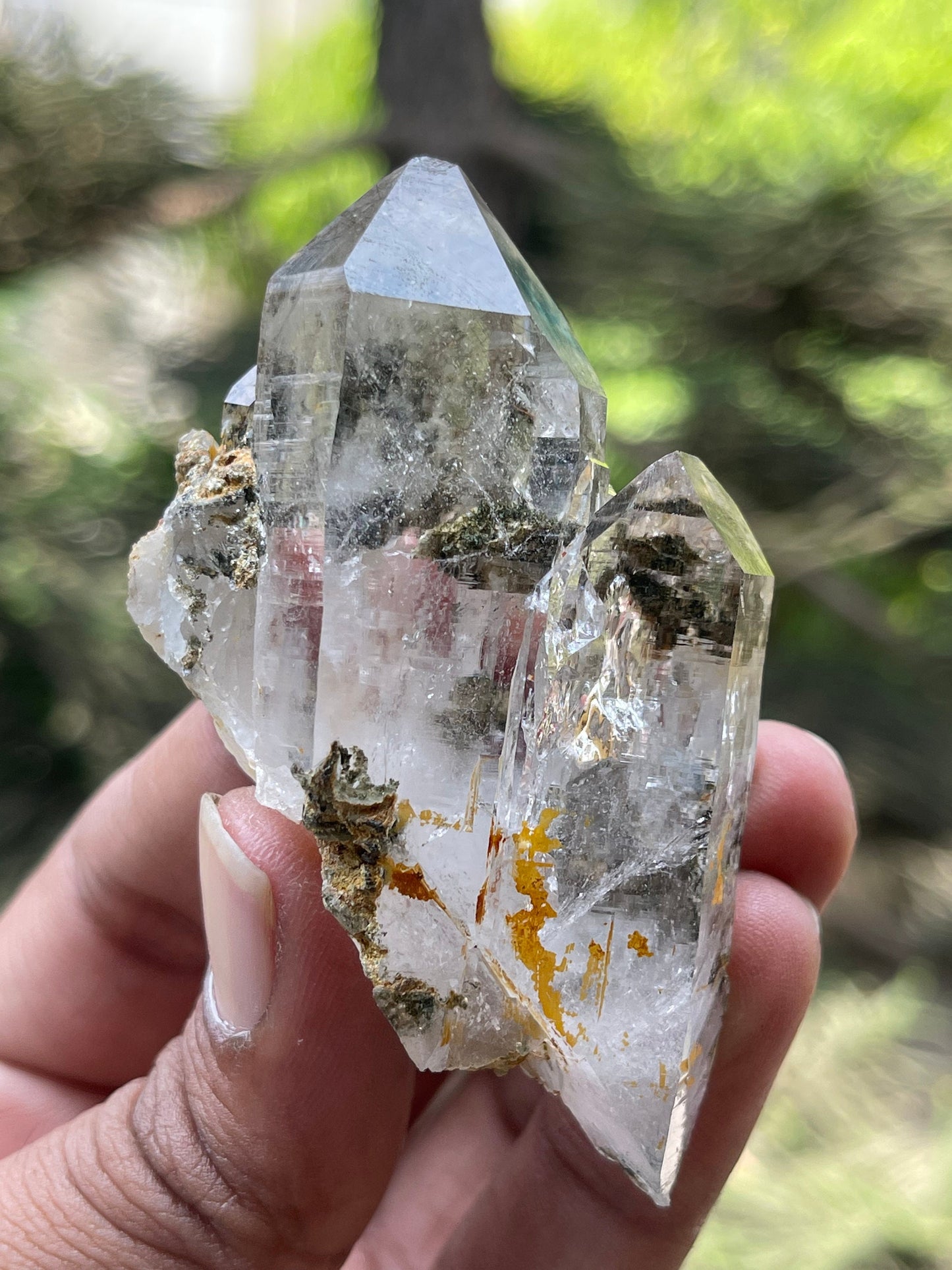chlorite included Twin Quartz Crystals with unique formation- Himachal Pradesh