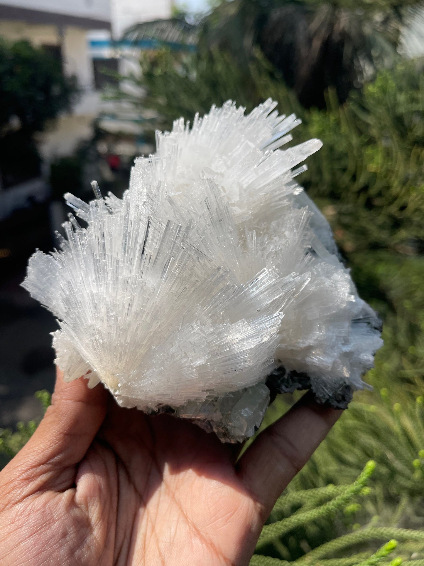 Scolecite with green apophyllite on matrix
