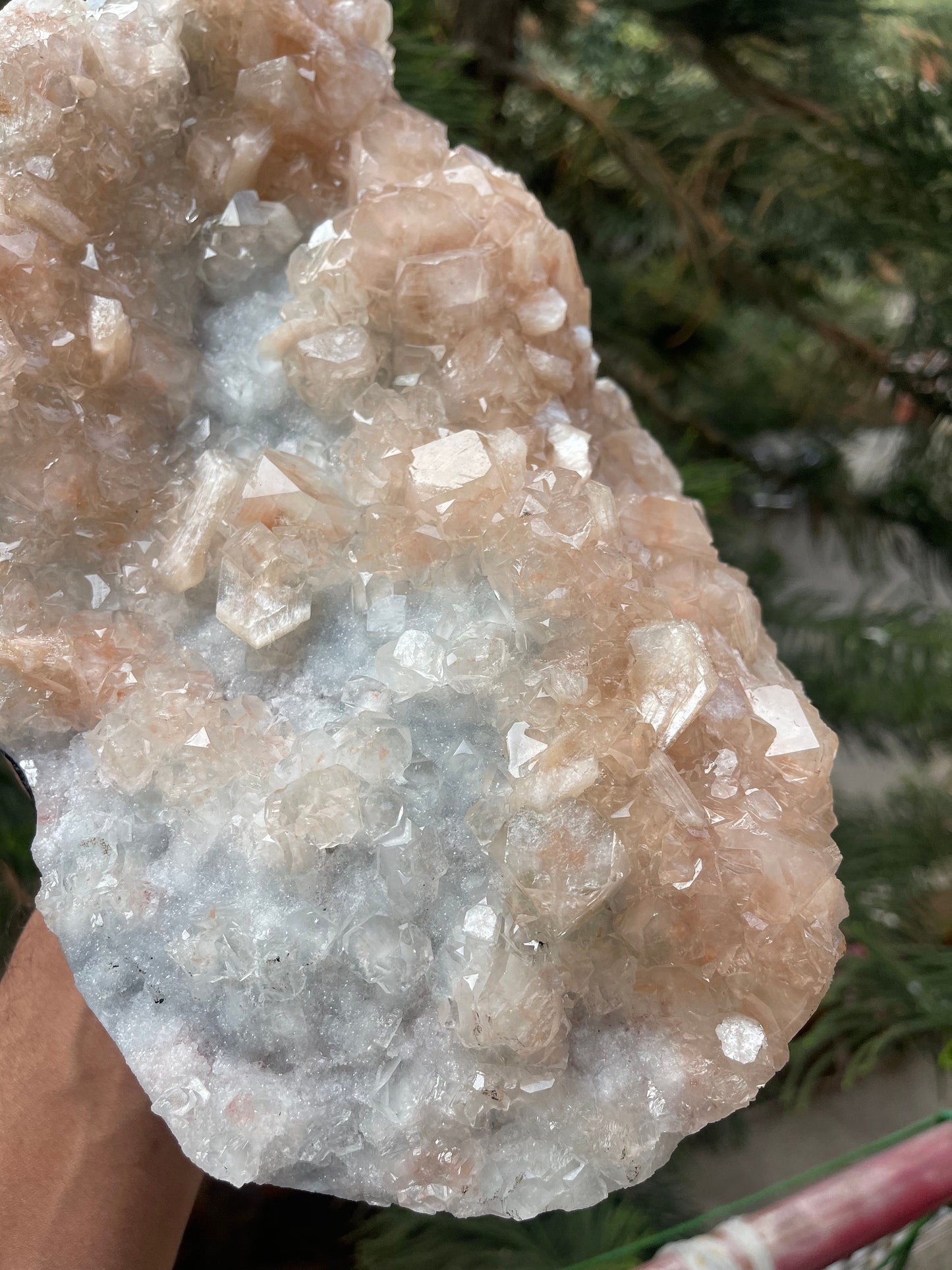 Pink apophyllite with stilbite on chalcedony base #pink