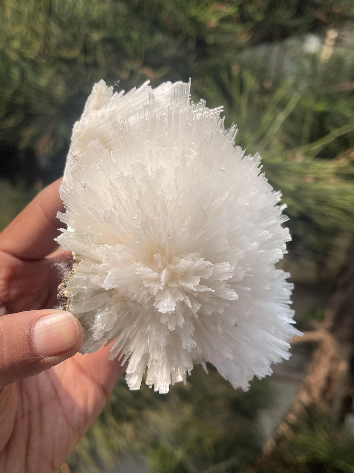 Perfect round of scolecite flower natural specimen