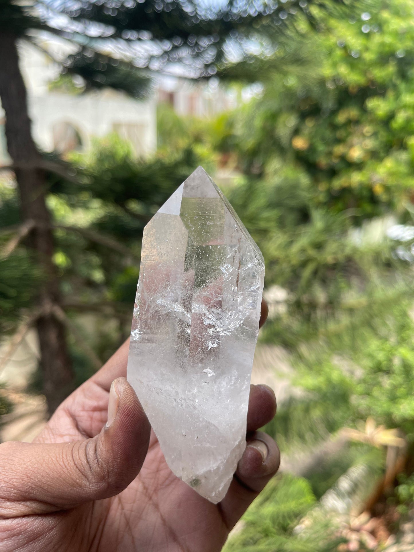 Amazing Clarity Himalayan Cathedral Quartz Crystal