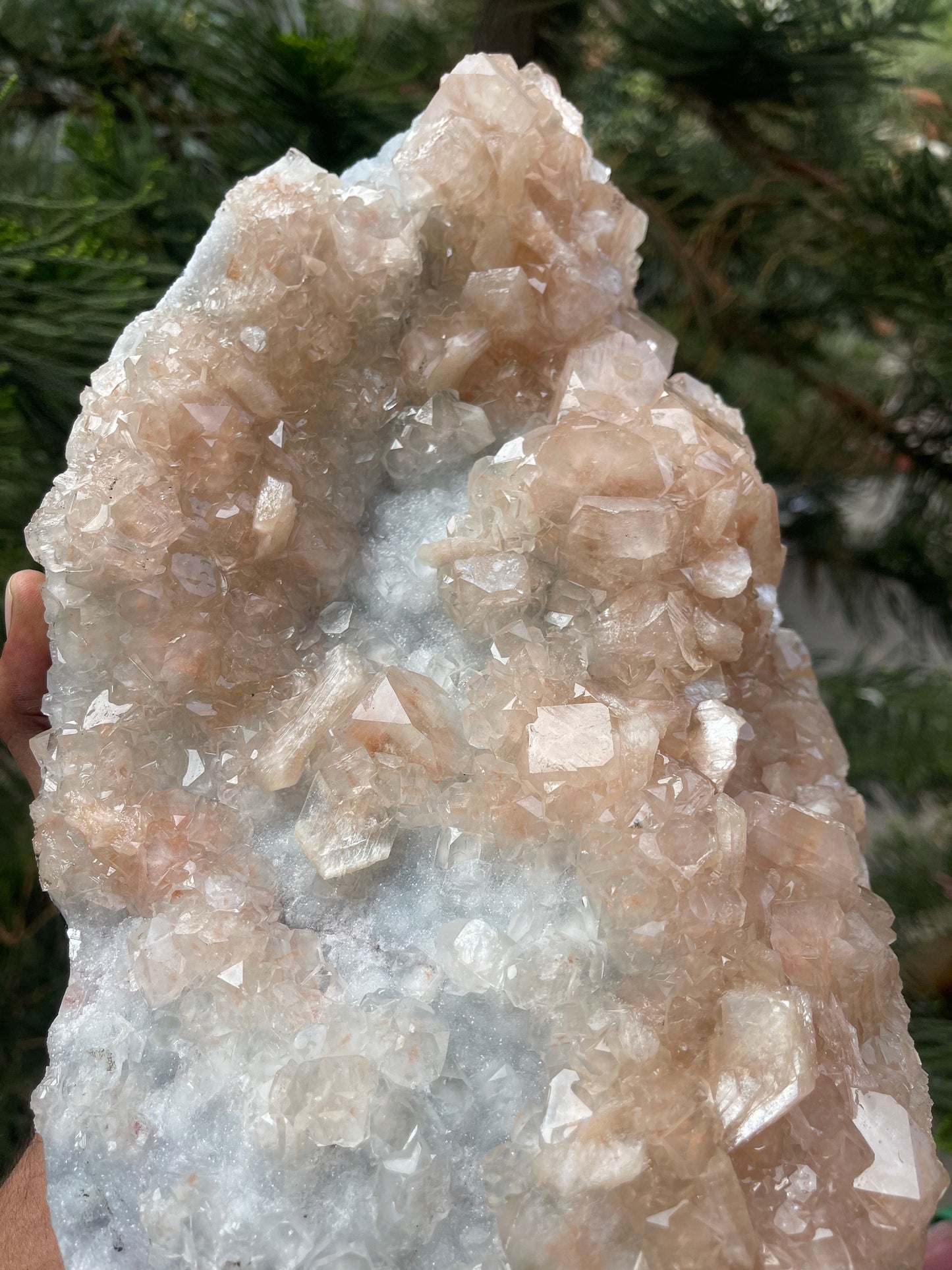 Pink apophyllite with stilbite on chalcedony base #pink