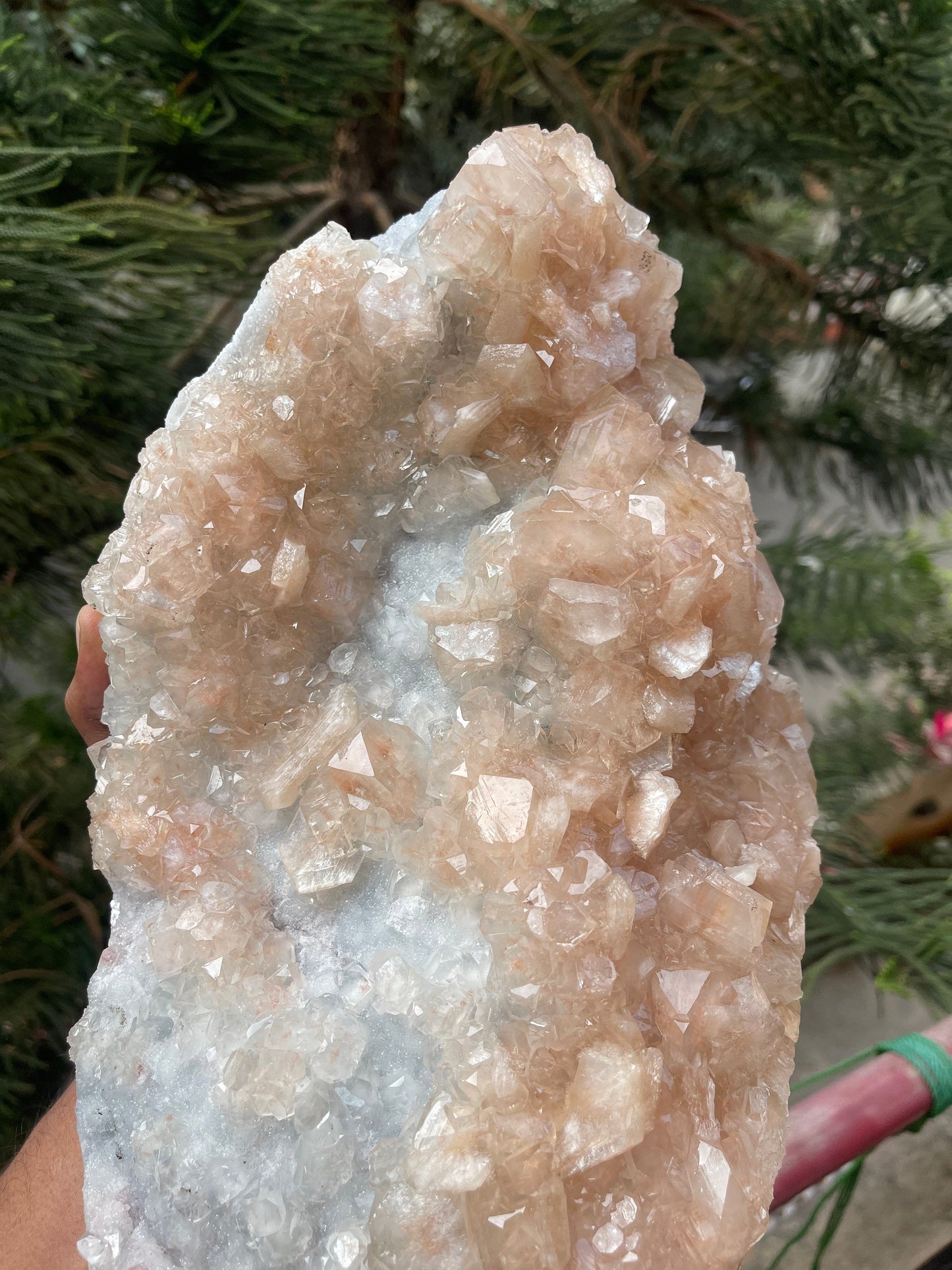 Pink apophyllite with stilbite on chalcedony base #pink
