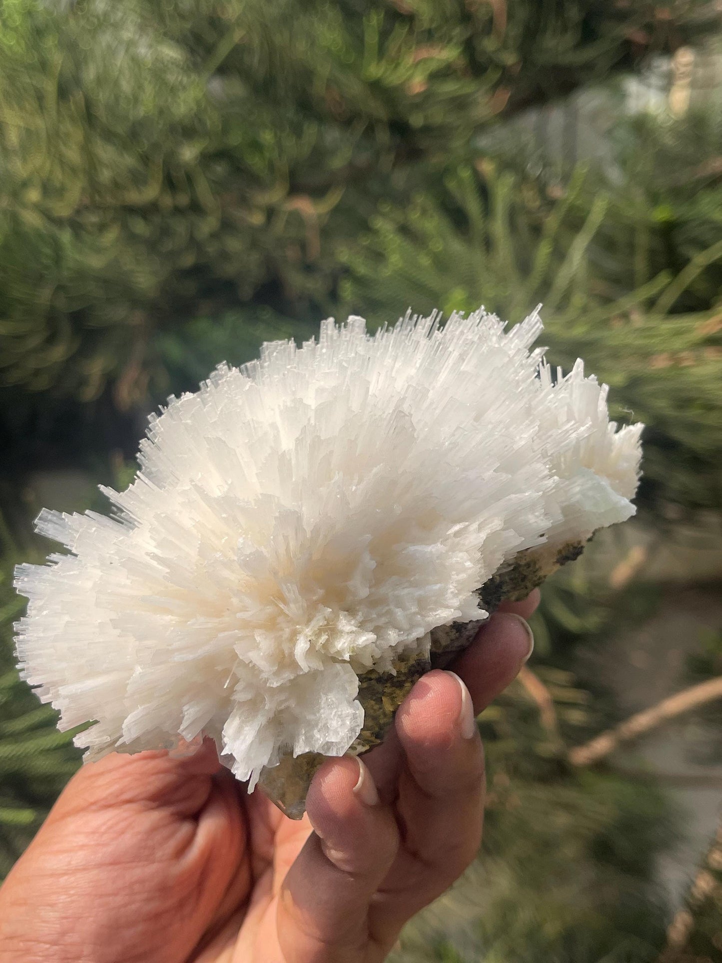 Perfect round of scolecite flower natural specimen