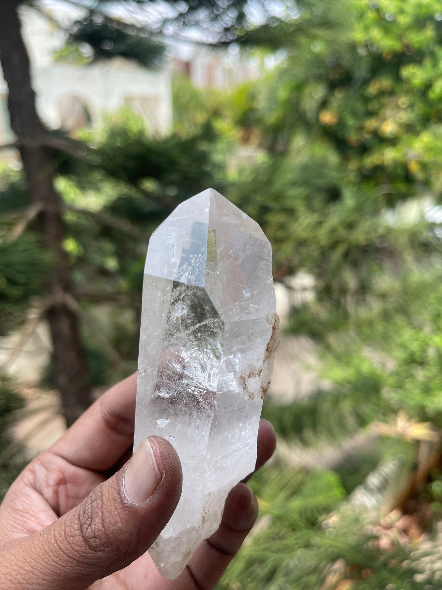 Amazing Clarity Himalayan Cathedral Quartz Crystal