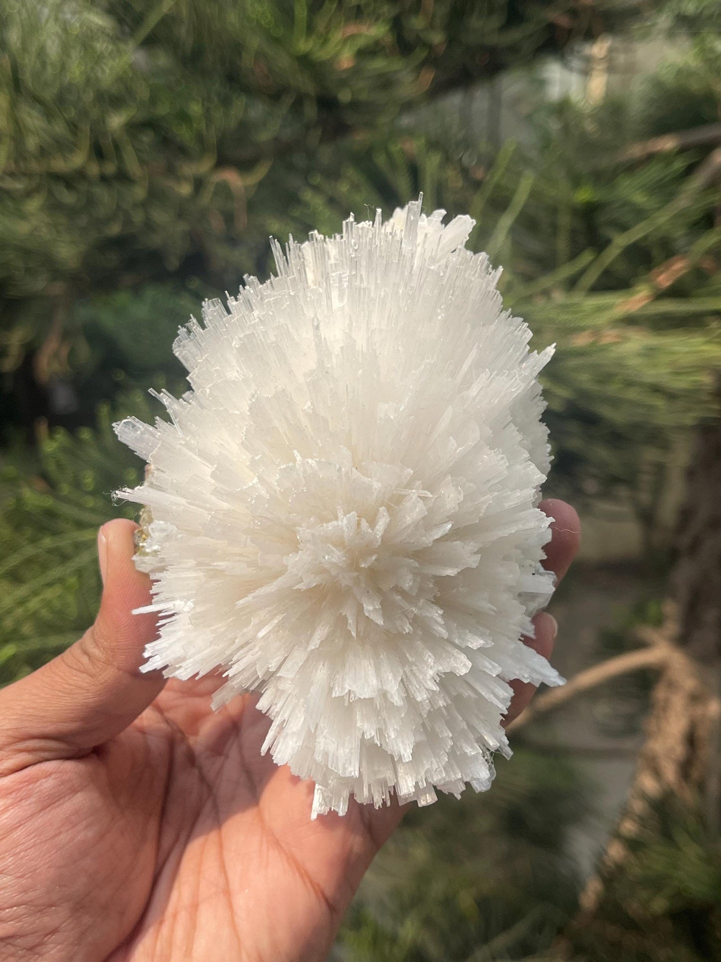 Perfect round of scolecite flower natural specimen