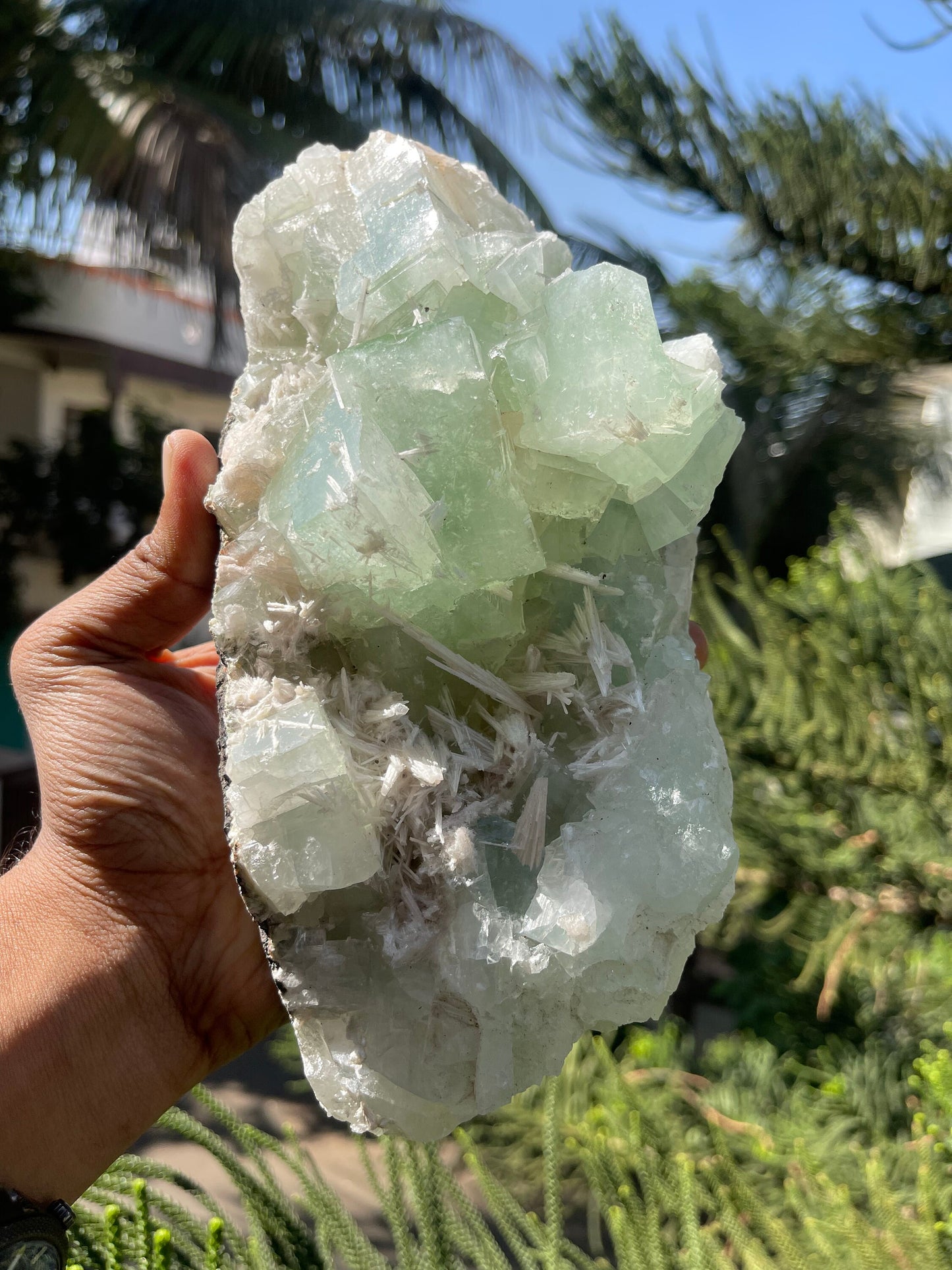 Green cubicle apophyllite with scolecite minerals specimen