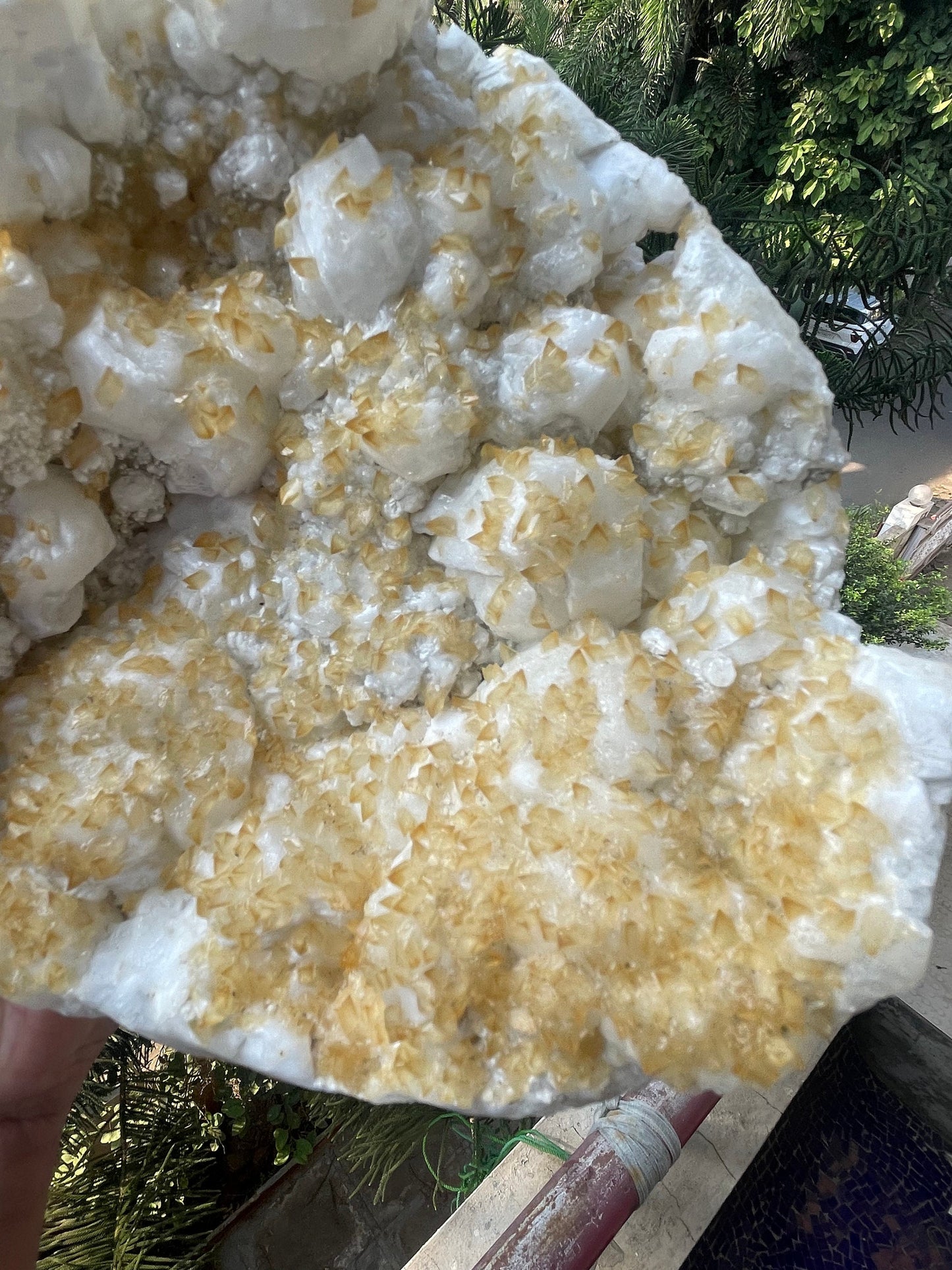 Multiple golden calcite on white apophyllite