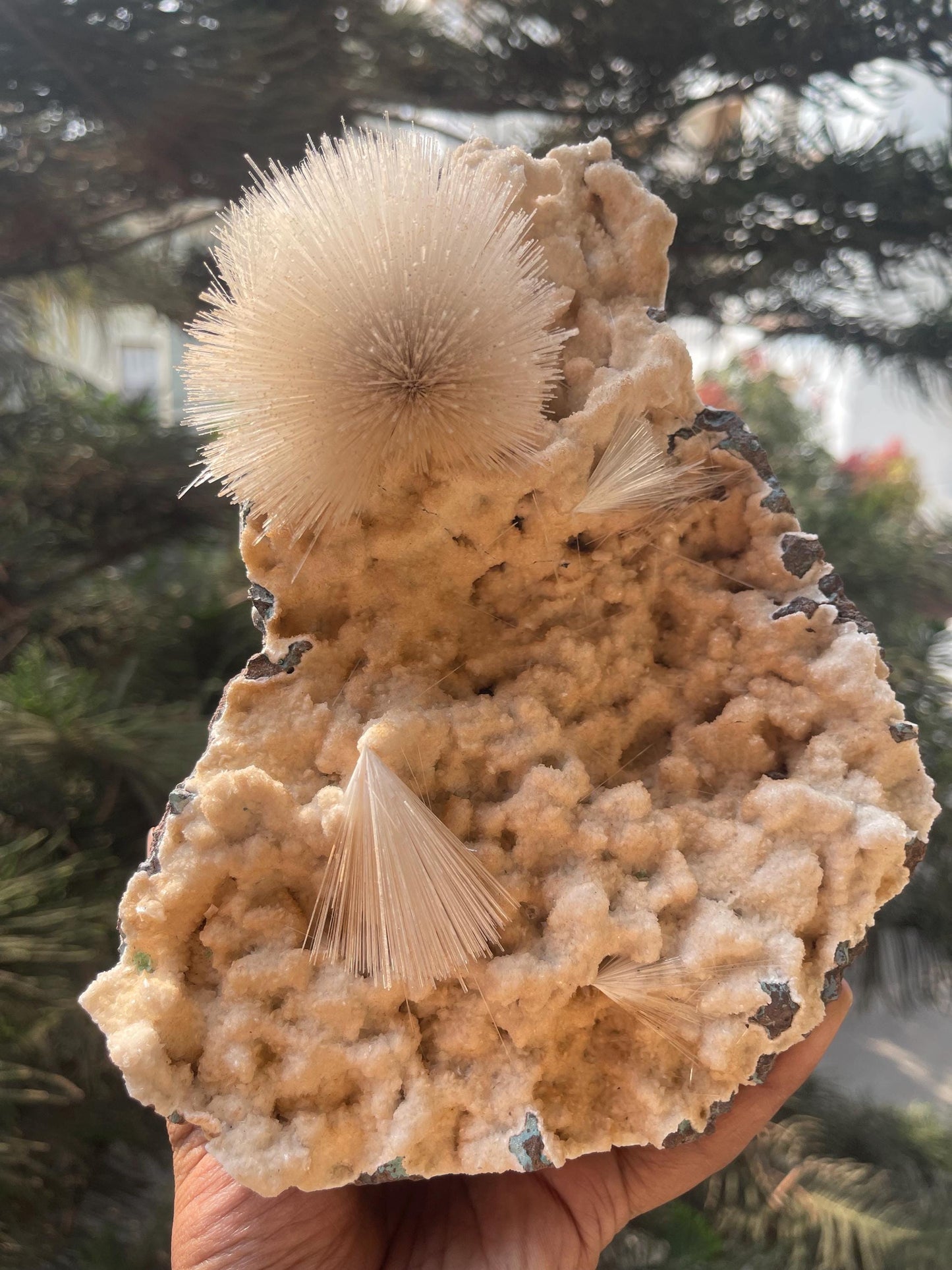 new find perfect mesolite flower on chalcedony matrix