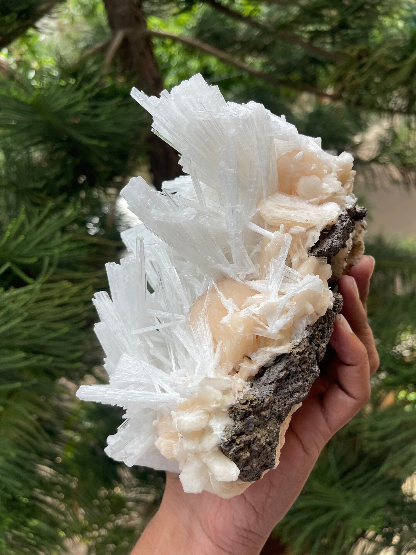 Glossy scolecite spray on orange stilbite crystal natural specimen