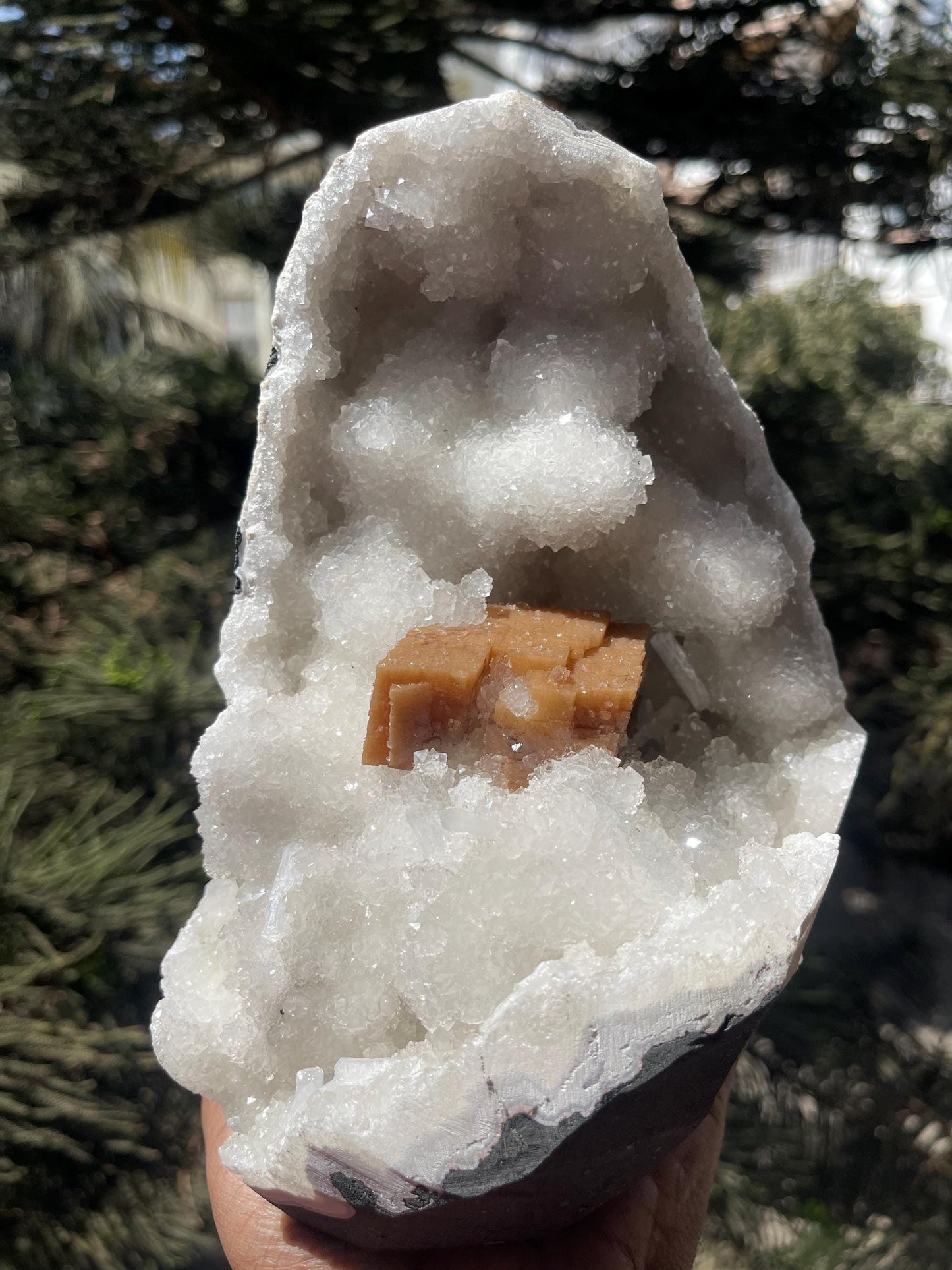 rare find. brown cubical calcite crystal with stilbite petals on quartz matrix