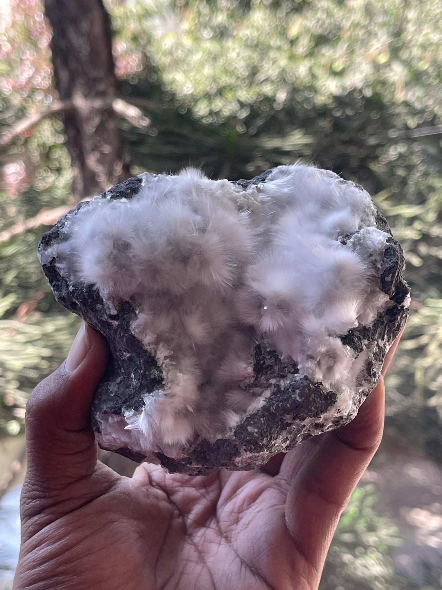 mesolite flowers on matrix new find