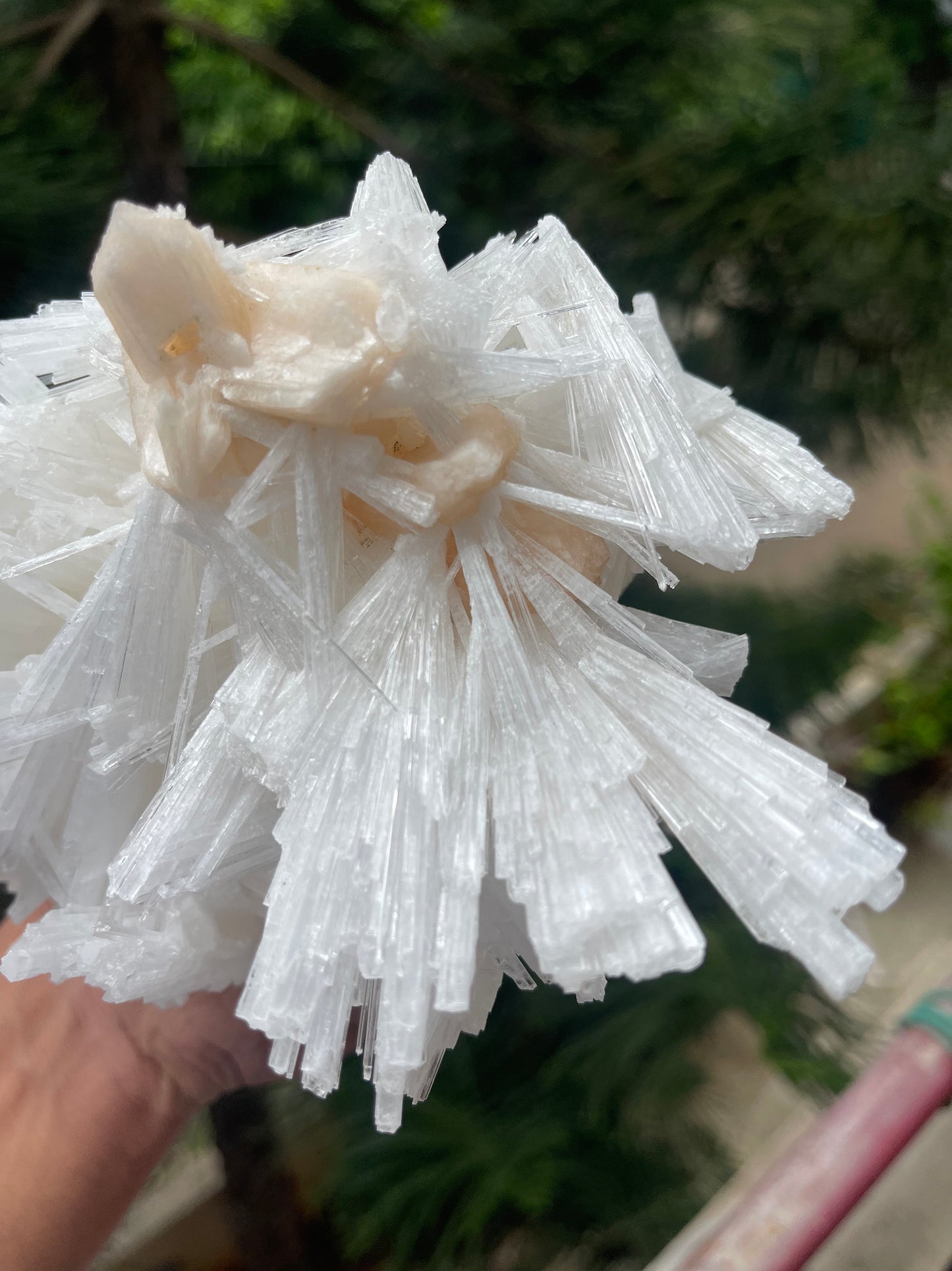 Scolecite spray with stilbite