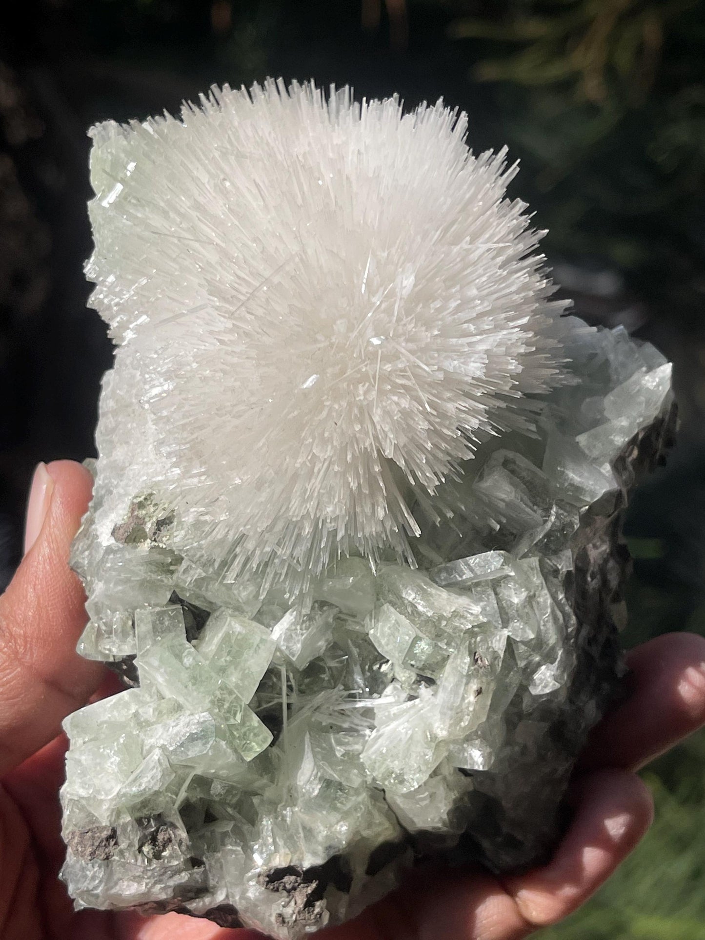 Mesolite flower on light green apophyllite