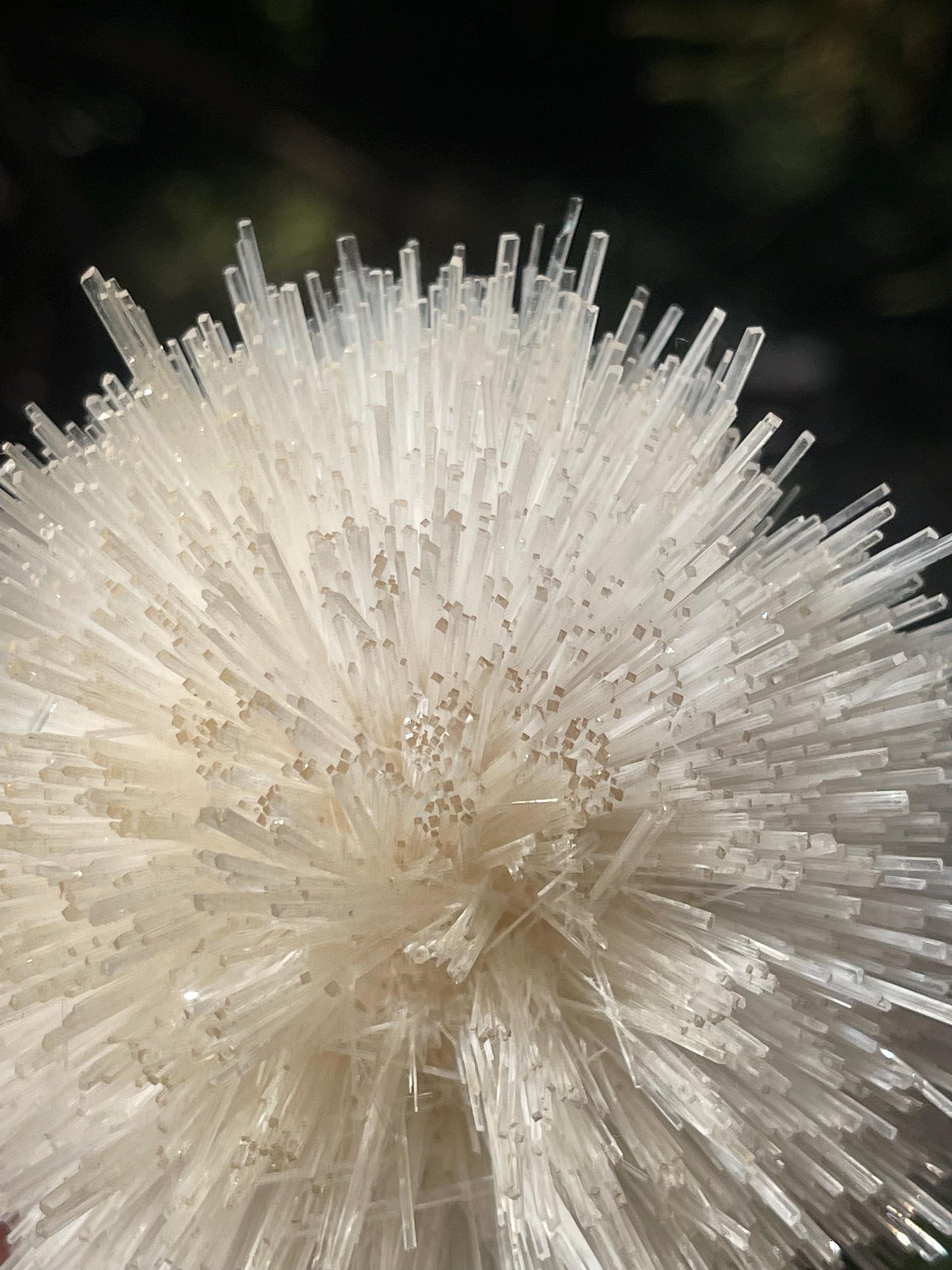 Perfect round of natrolite flowers on white chalcedony matrix