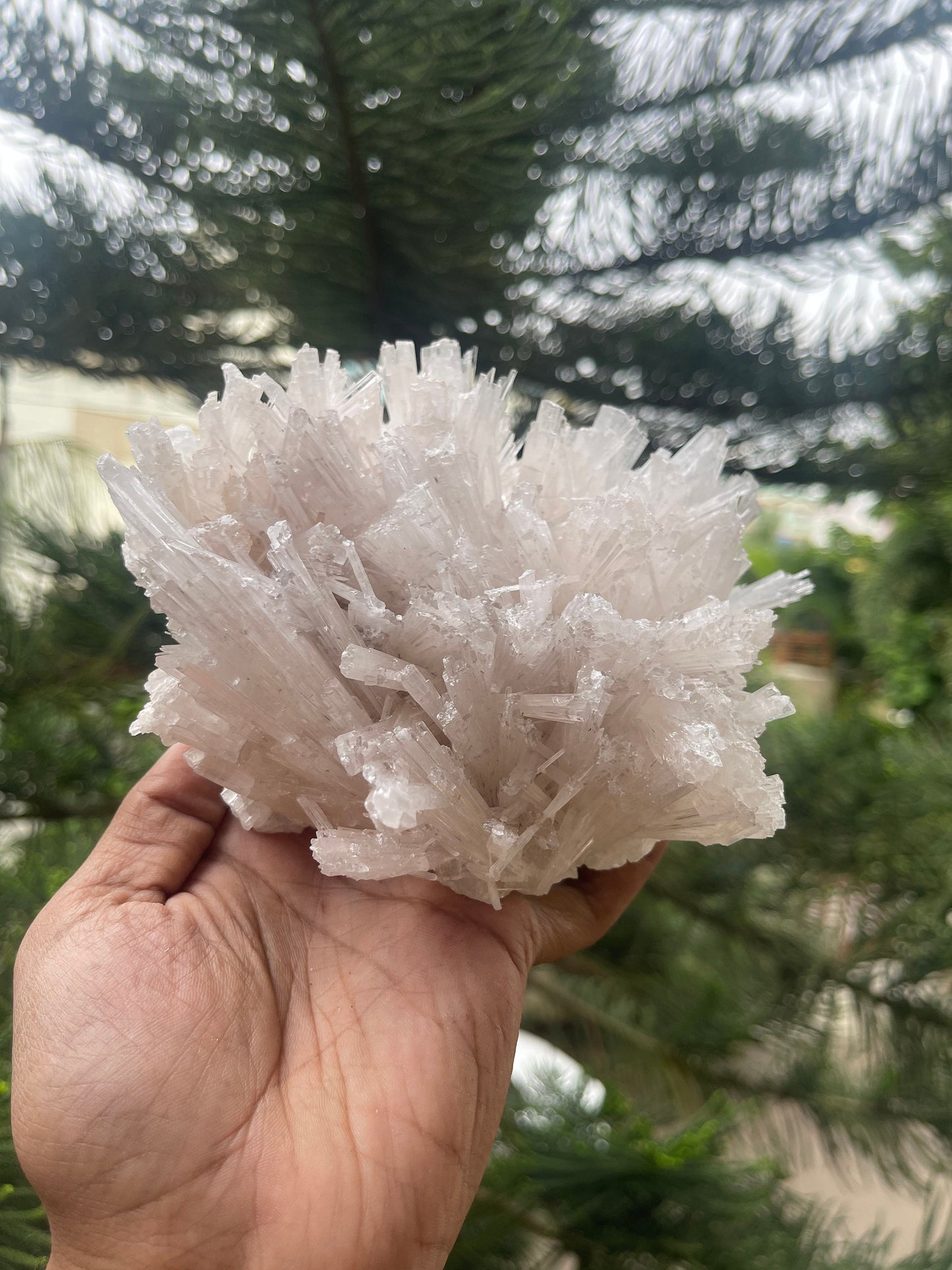 Scolecite flower